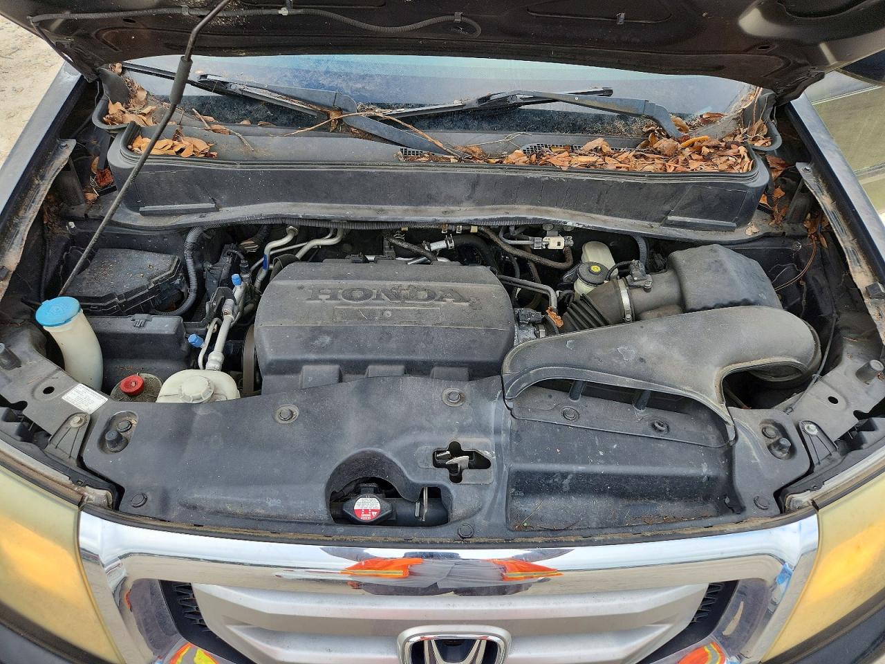 2010 Honda Pilot Exl Black vin: 5FNYF3H52AB020188