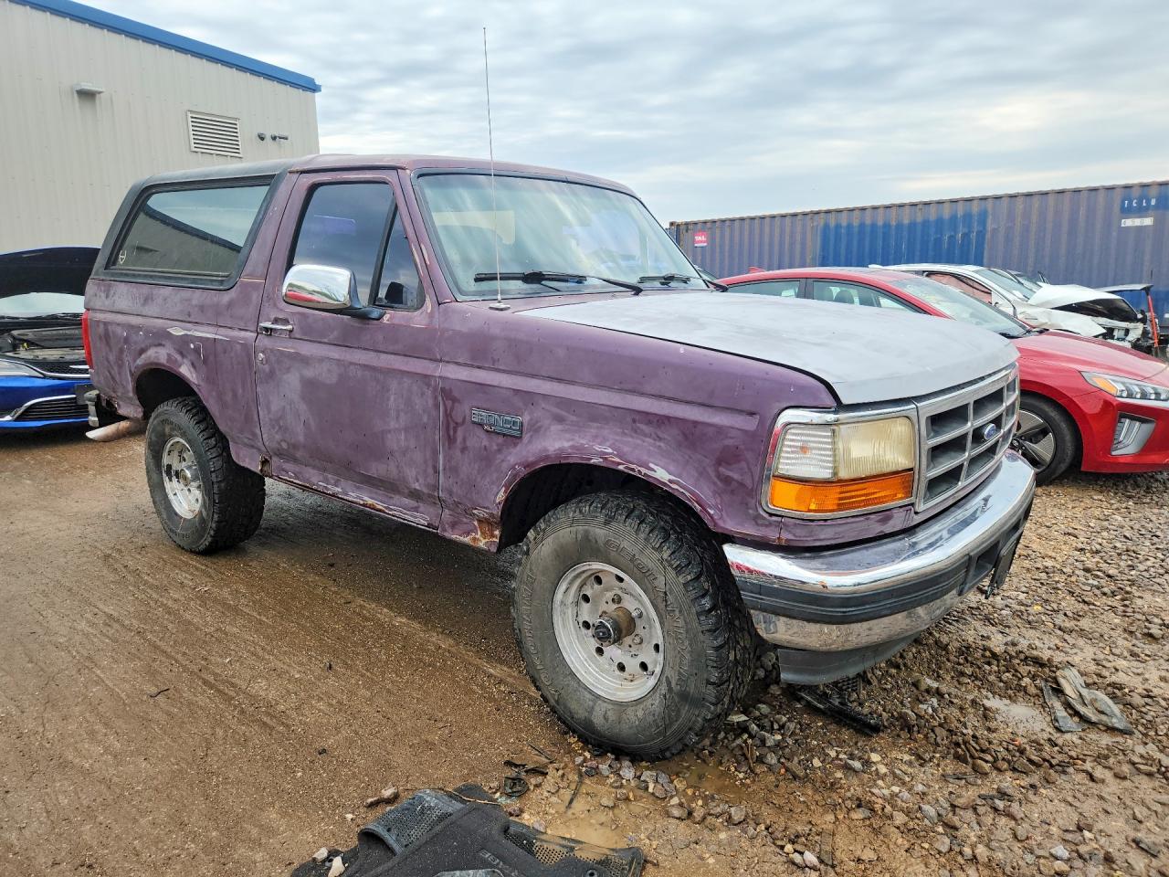 1996 Ford Bronco U100 Фиолетовый vin: 1FMEU15H5TLB72960