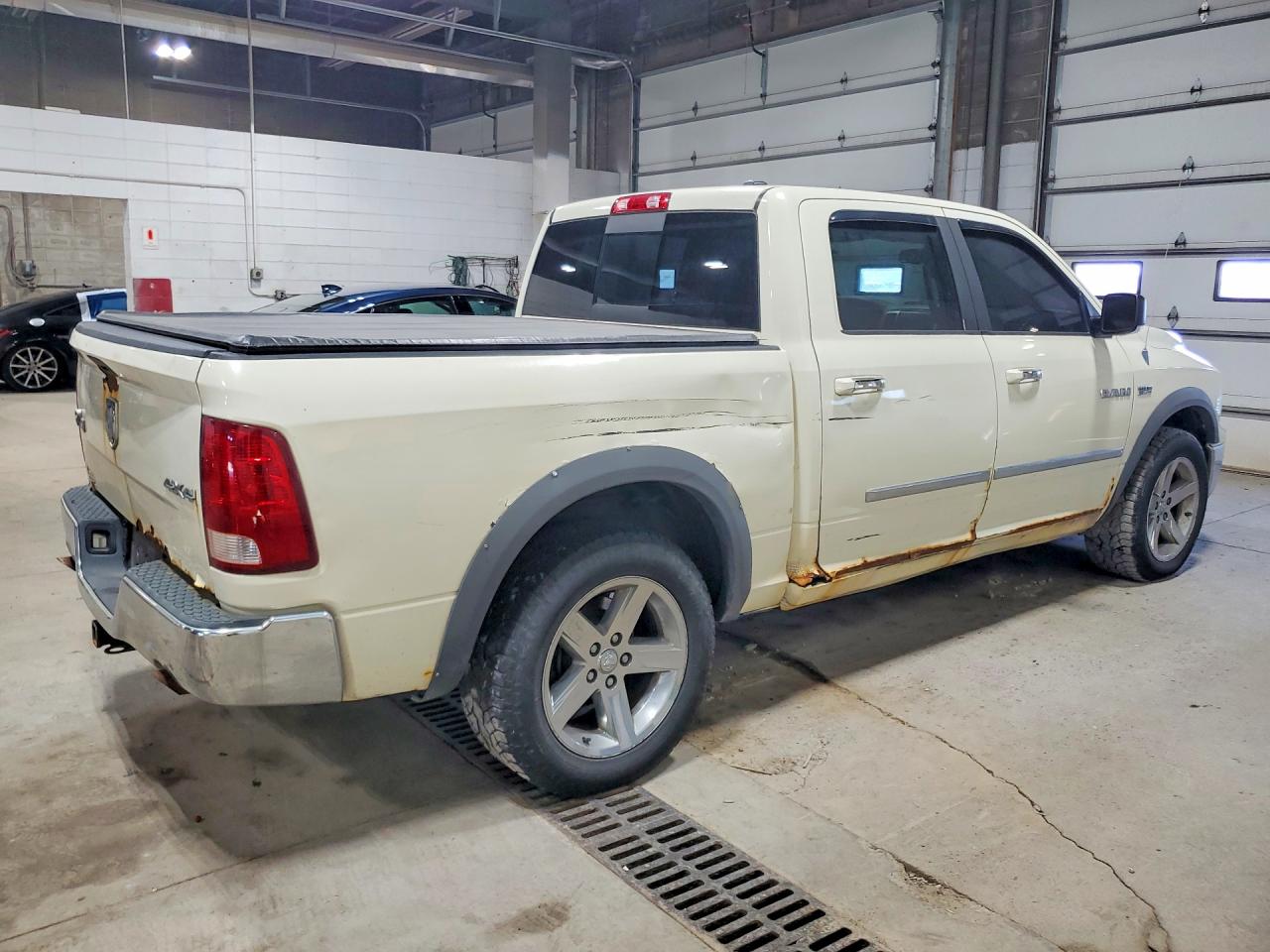 2010 Dodge Ram 1500 Cream vin: 1D7RV1CT0AS227608