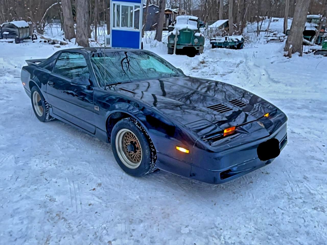 1988 Pontiac Firebird Trans Am Black vin: 1G2FW218XJL246566