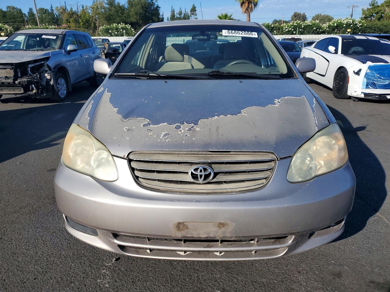 2003 Toyota Corolla Le Silver vin: 1NXBR32E03Z179819