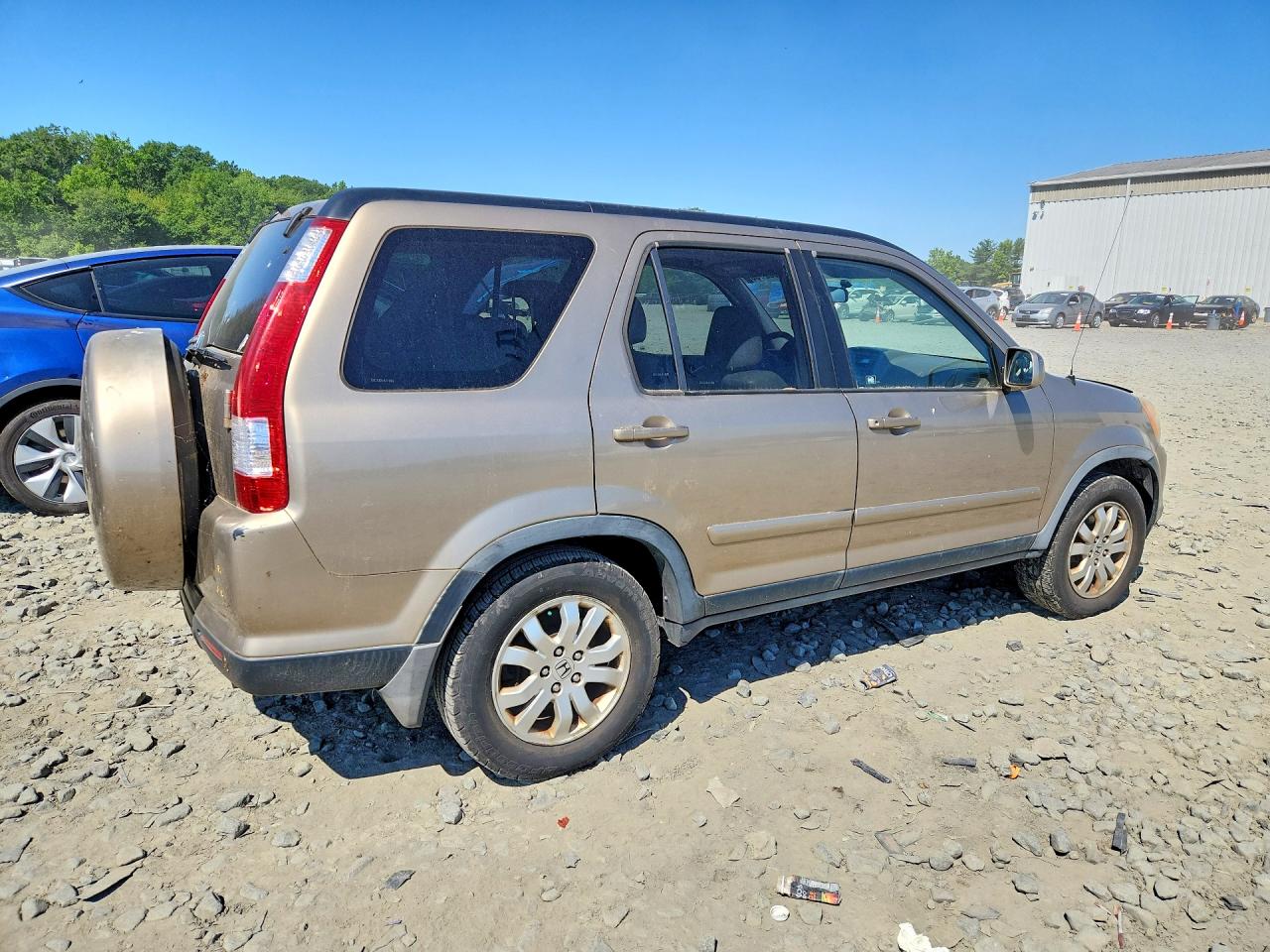 2006 Honda Cr-v Se Beige vin: JHLRD78966C034106