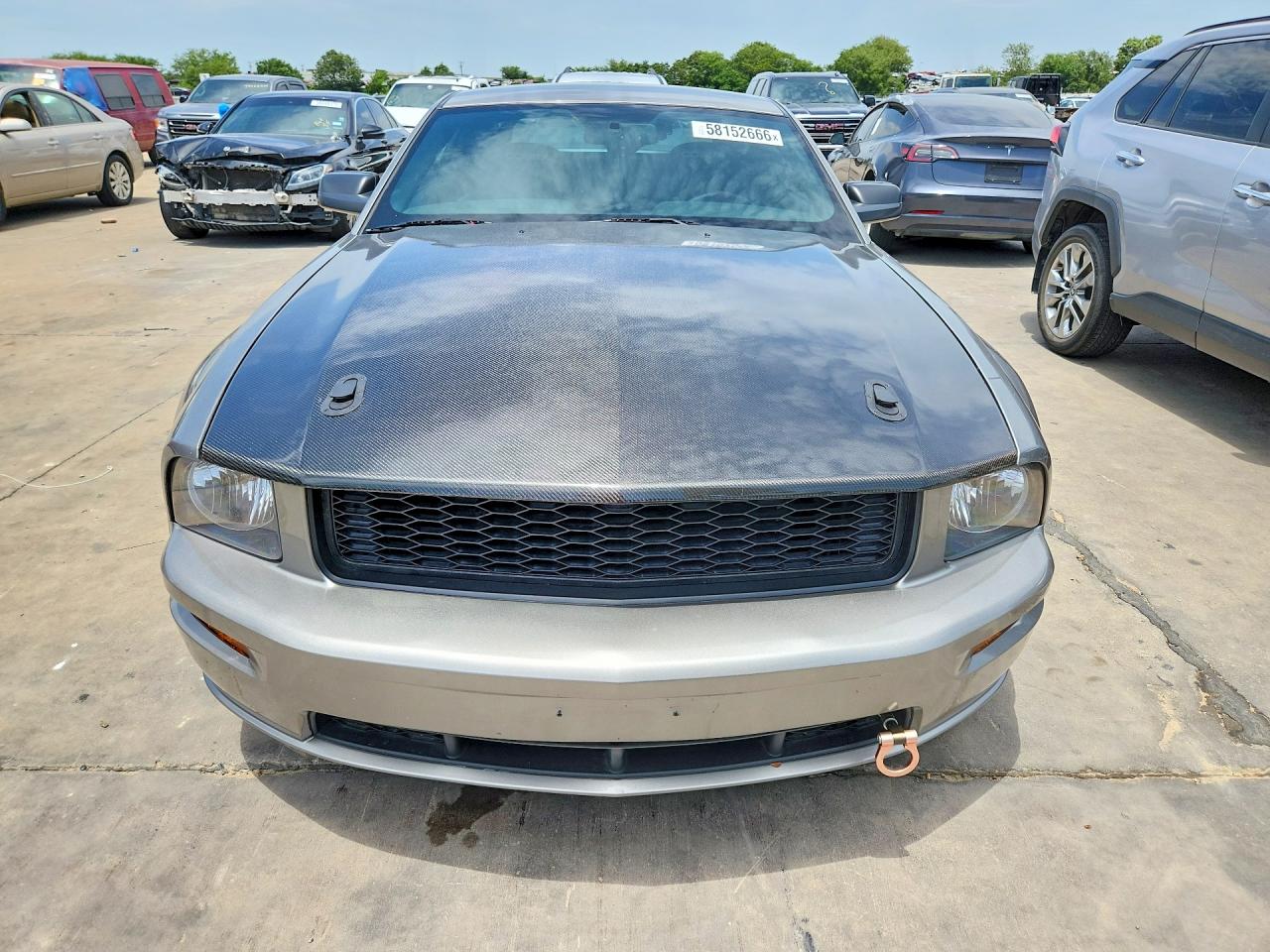 2009 Ford Mustang Gt Gray vin: 1ZVHT82H695106879