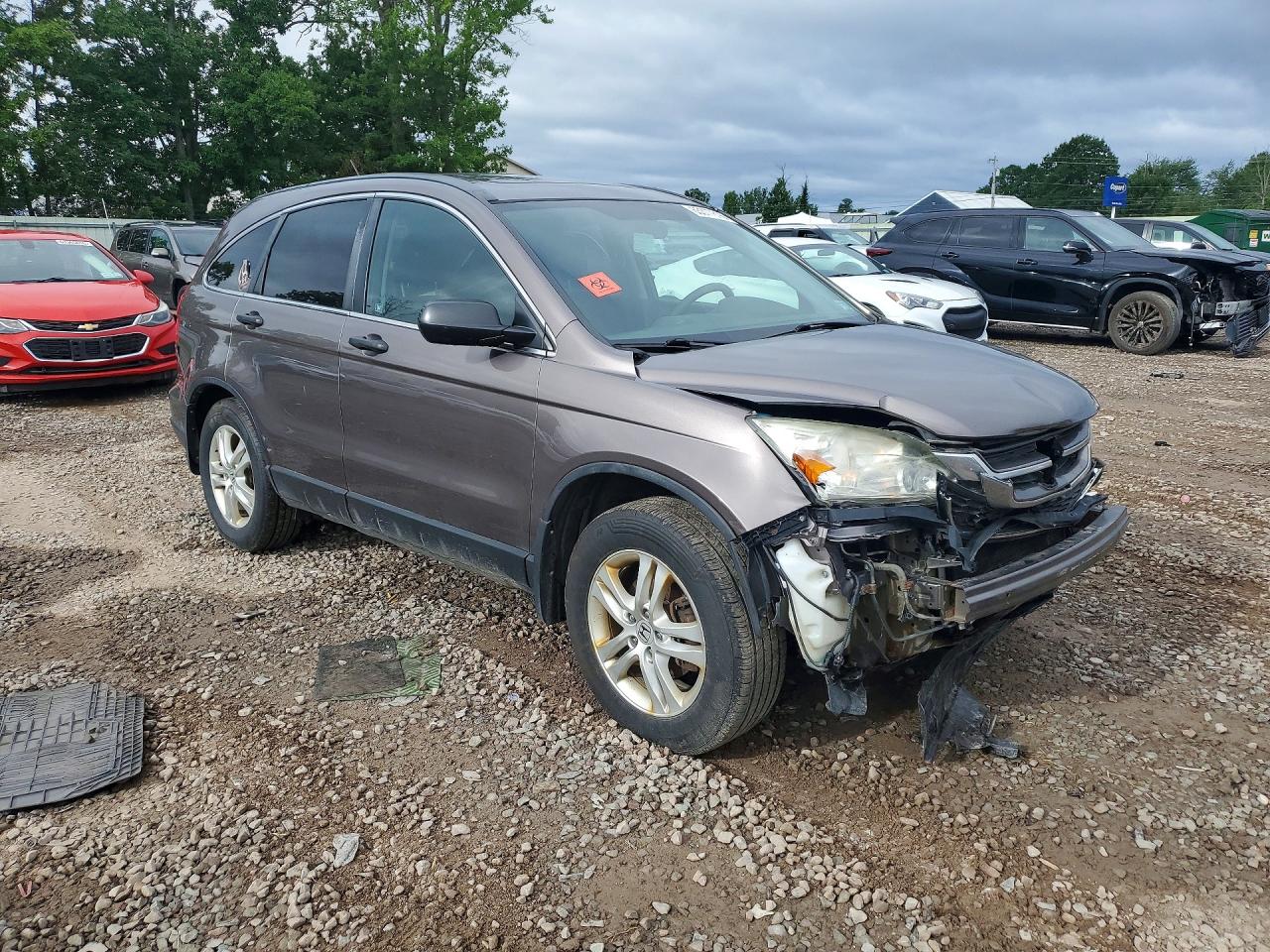 2010 Honda Cr-v Tan vin: 5J6RE4H59AL076651