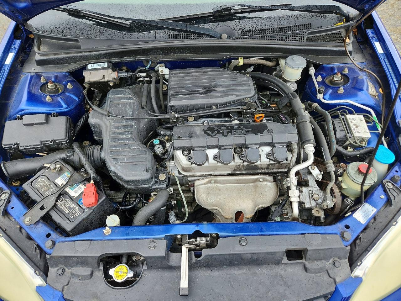 2004 Honda Civic Ex Blue vin: 1HGEM22944L081477