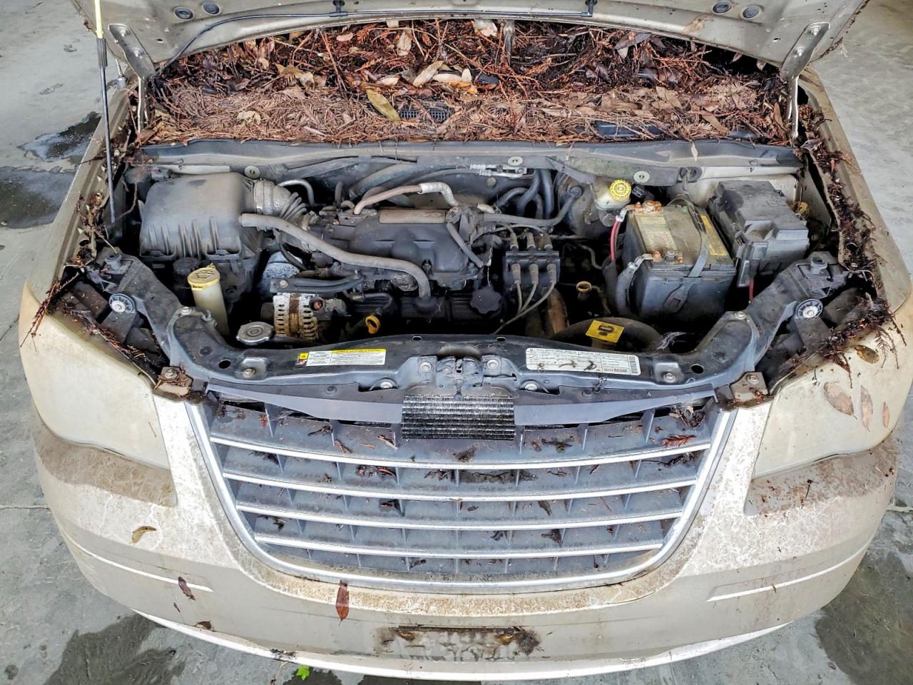 2009 Chrysler Town & Country Lx Gold vin: 2A8HR44E89R656108