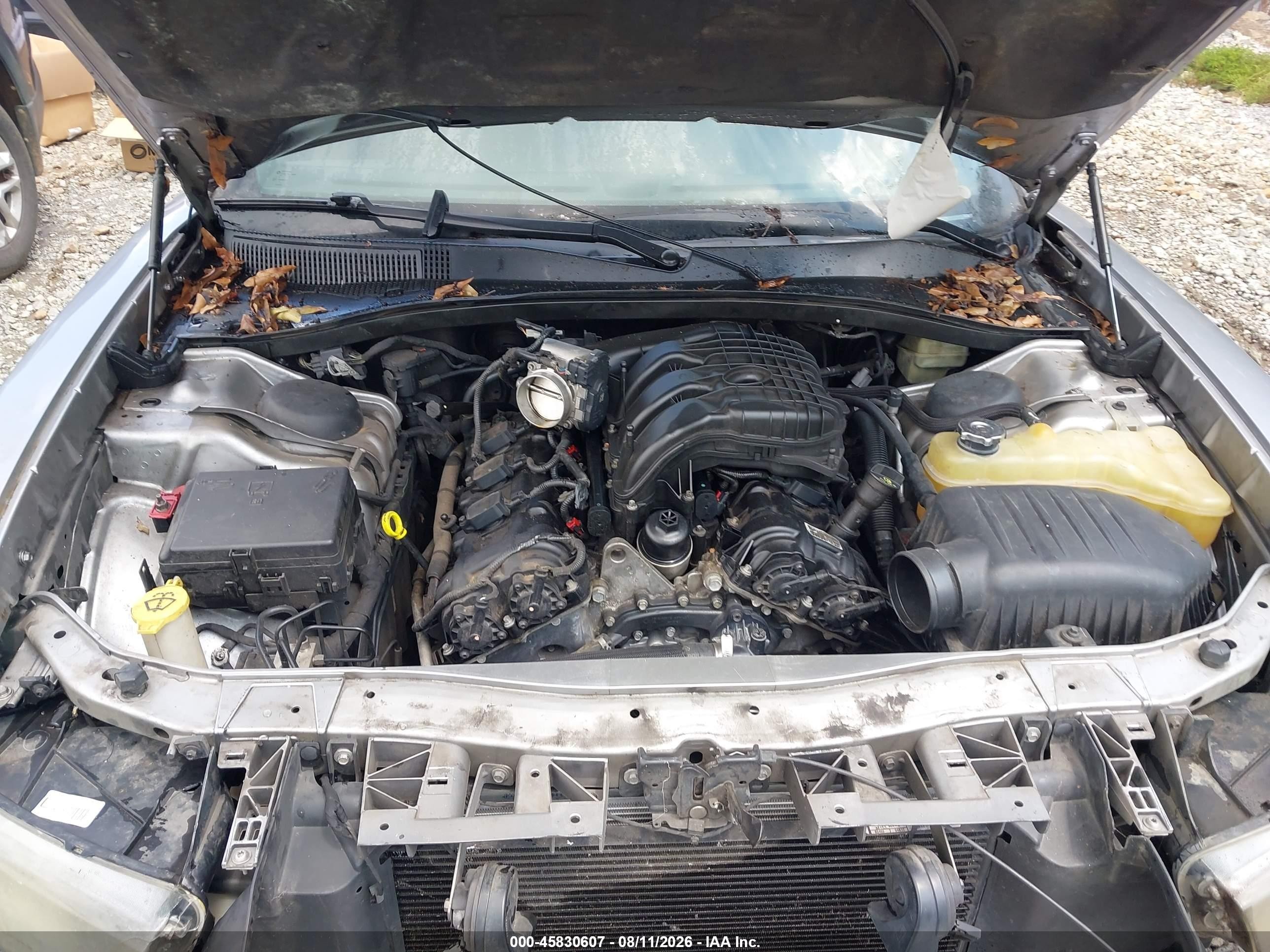 2011 Dodge Charger   Серебряный vin: 2B3CL3CG7BH520758