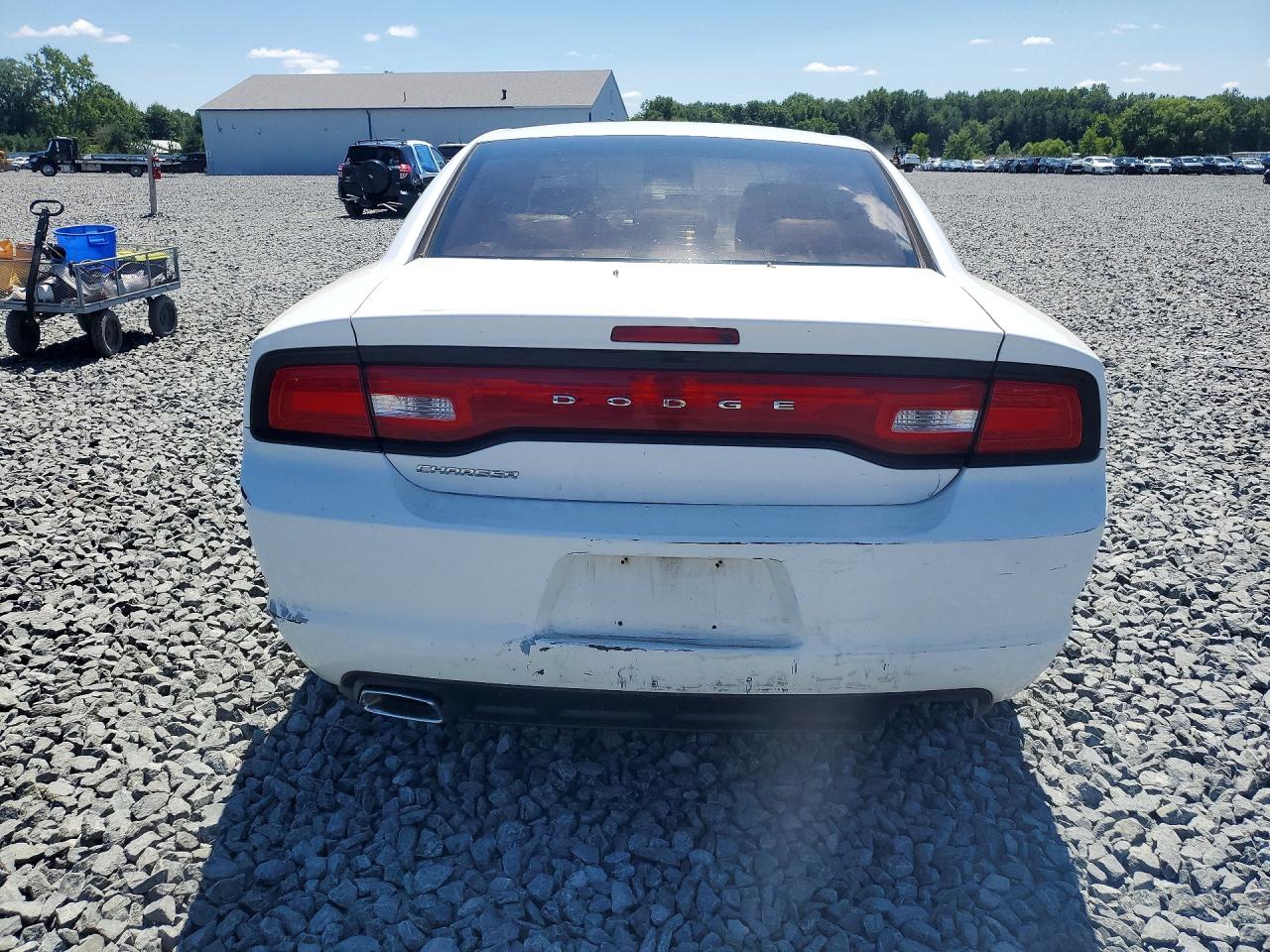 2011 Dodge Charger Белый vin: 2B3CL3CGXBH545511