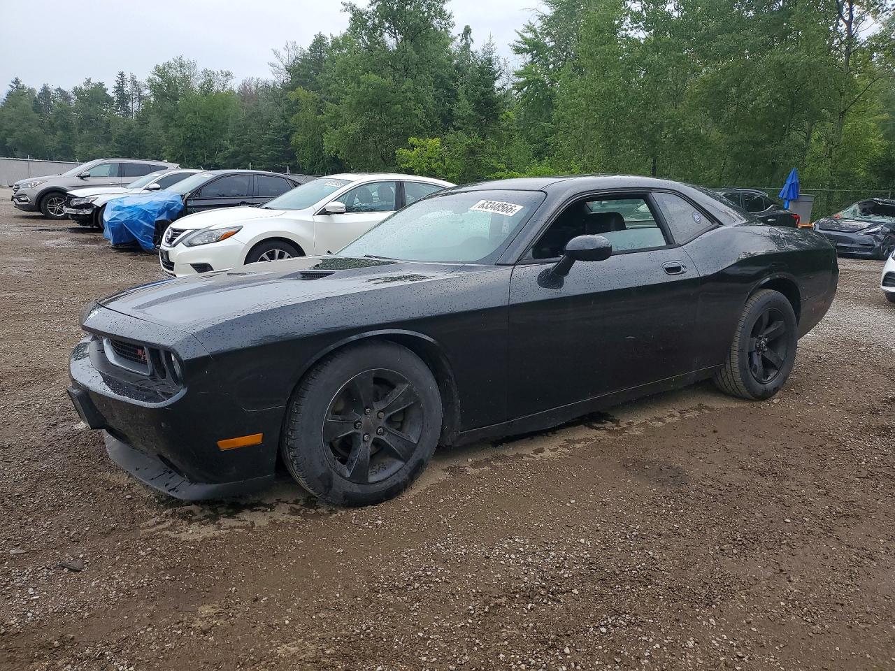 2009 Dodge Challenger Se Charcoal vin: 2B3LJ44V59H559982