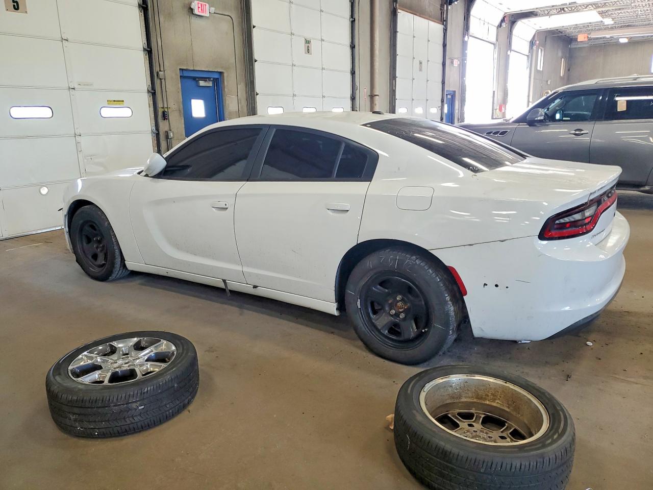 2015 Dodge Charger Police Белый vin: 2C3CDXAG7FH762370