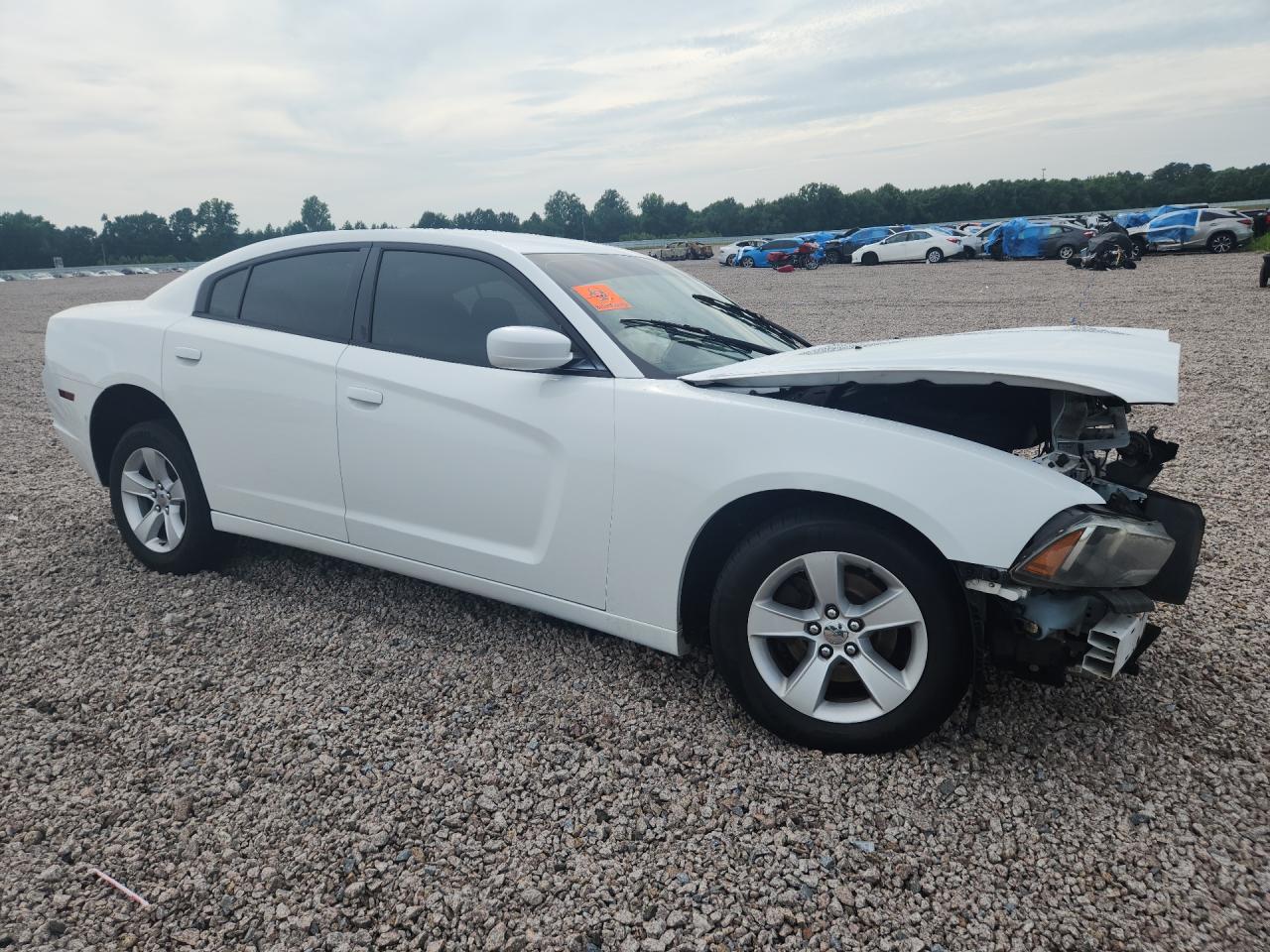 2013 Dodge Charger Se White vin: 2C3CDXBG3DH624773