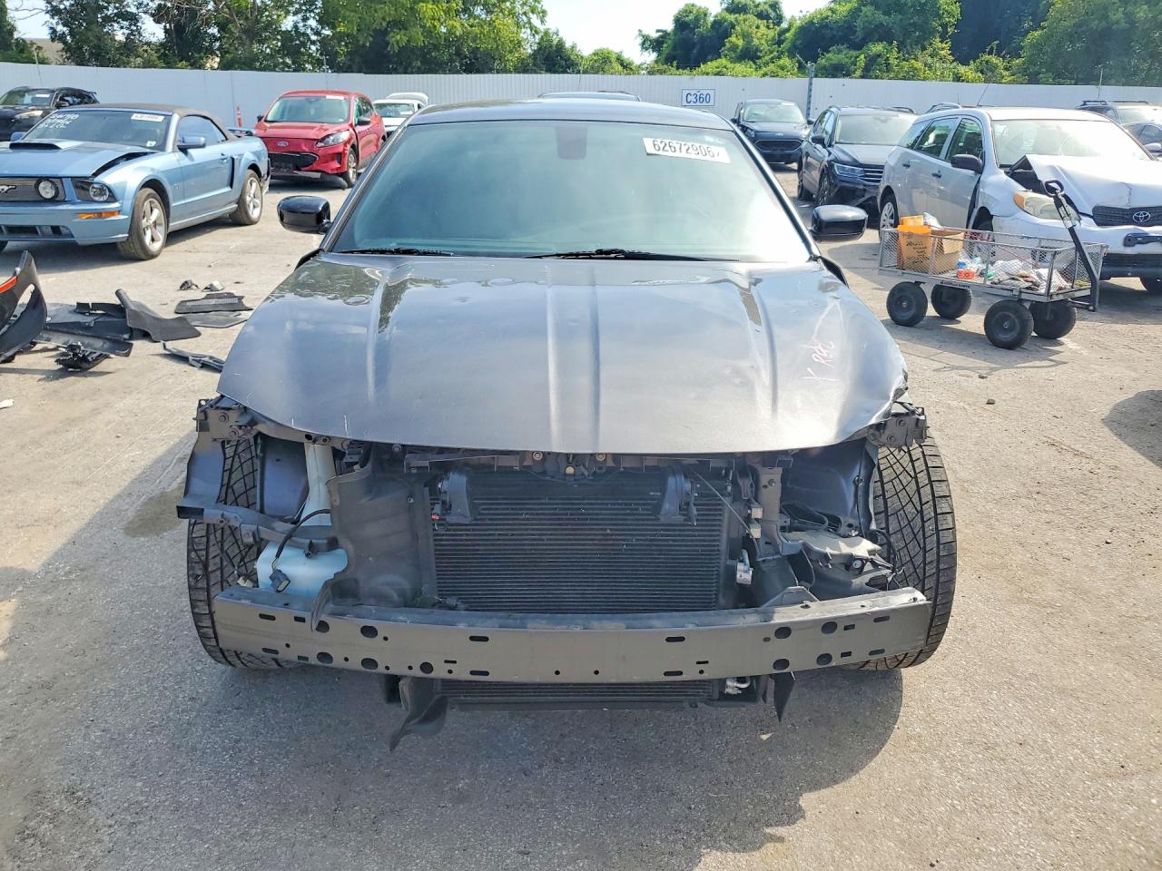 2019 Dodge Charger Sxt Gray vin: 2C3CDXBG6KH598795