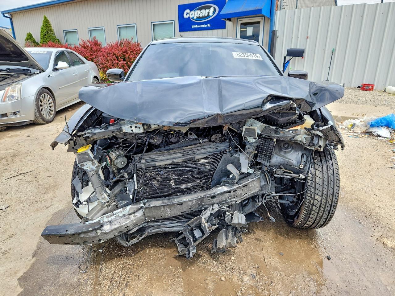 2020 Dodge Charger Sxt Black vin: 2C3CDXBG7LH136599