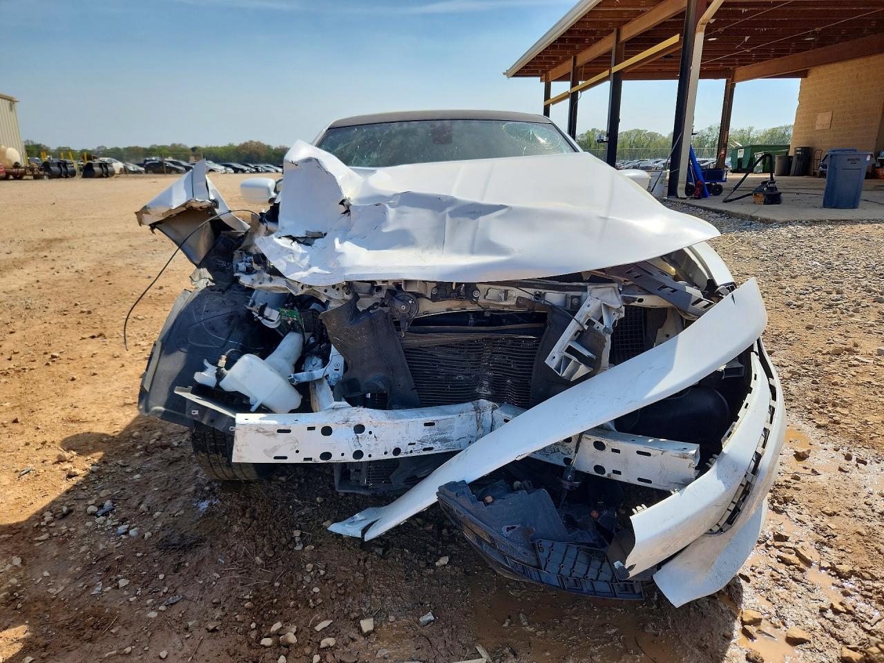 2019 Dodge Charger Sxt White vin: 2C3CDXBG9KH720260