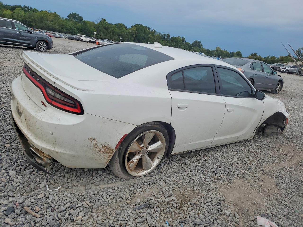 2015 Dodge Charger R/t White vin: 2C3CDXCT0FH816943