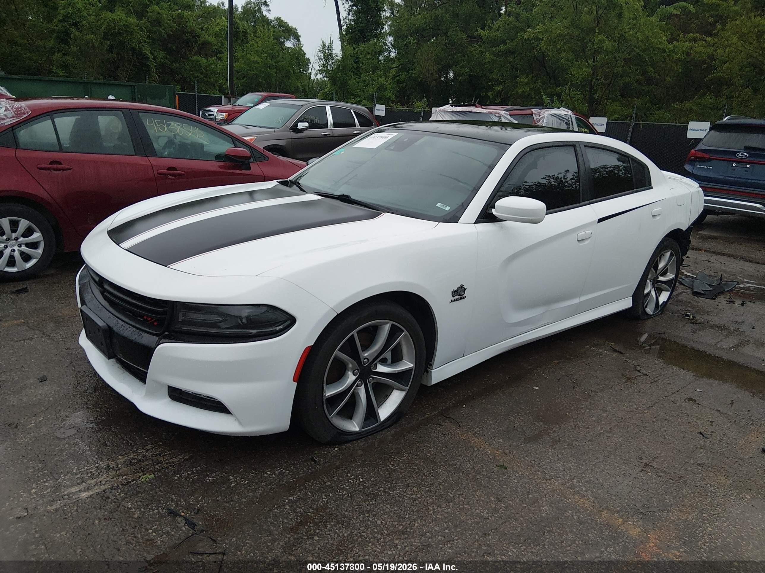 2015 Dodge Charger R/t White vin: 2C3CDXCT3FH772355
