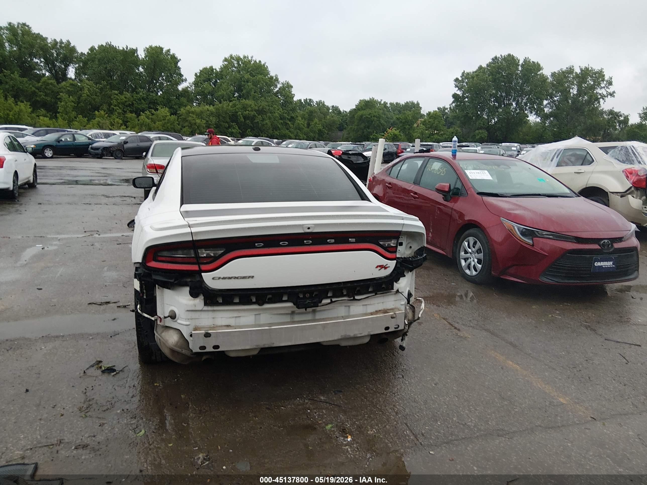 2015 Dodge Charger R/t White vin: 2C3CDXCT3FH772355