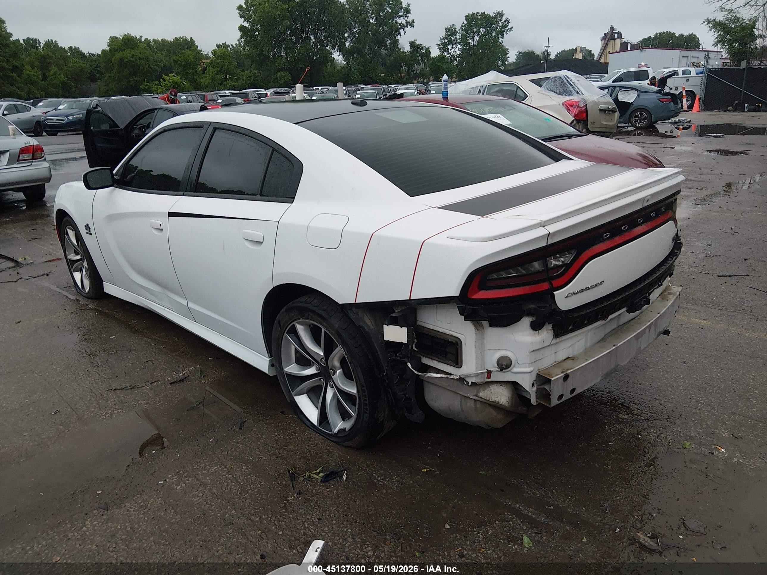 2015 Dodge Charger R/t White vin: 2C3CDXCT3FH772355
