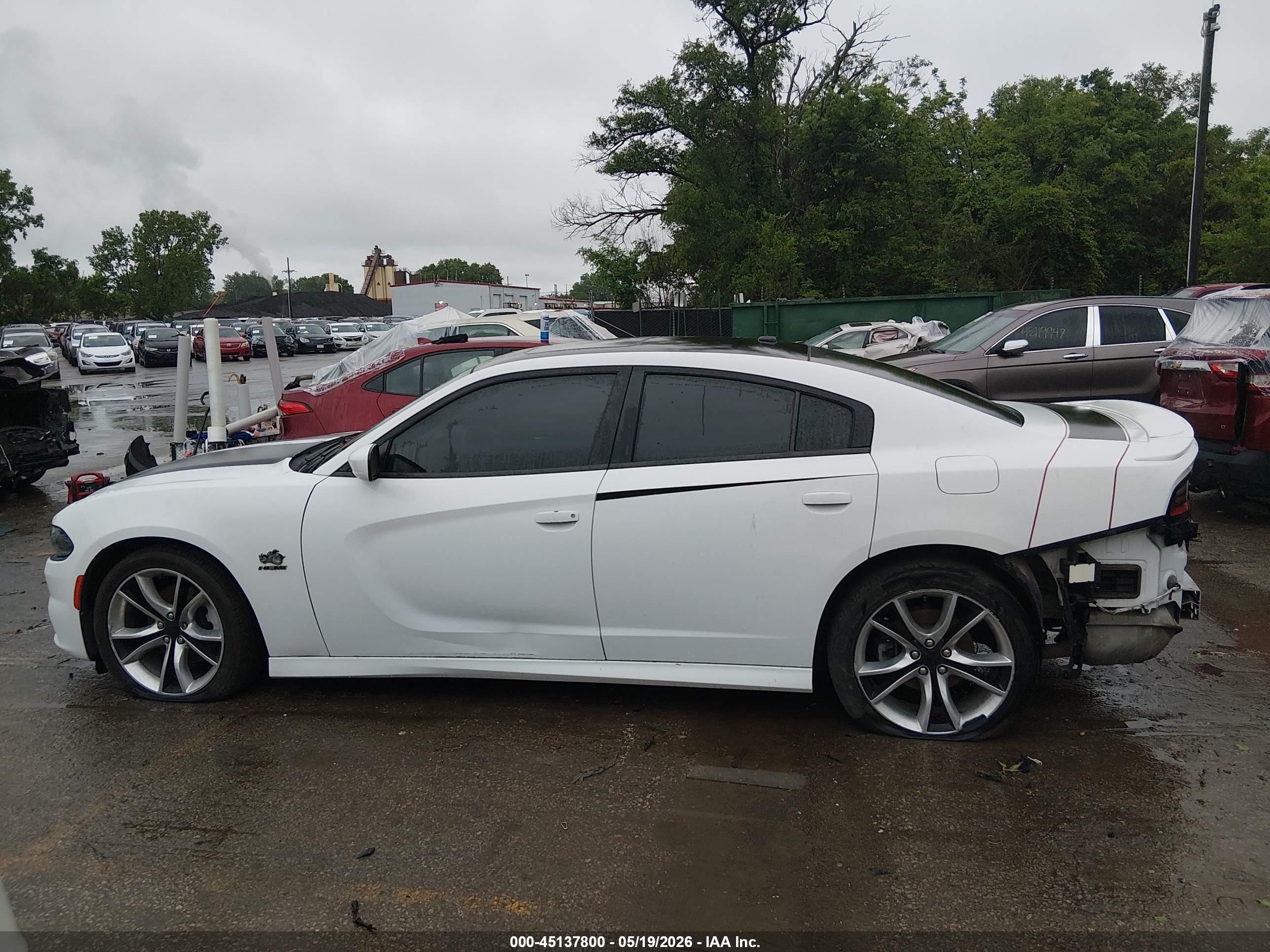 2015 Dodge Charger R/t White vin: 2C3CDXCT3FH772355