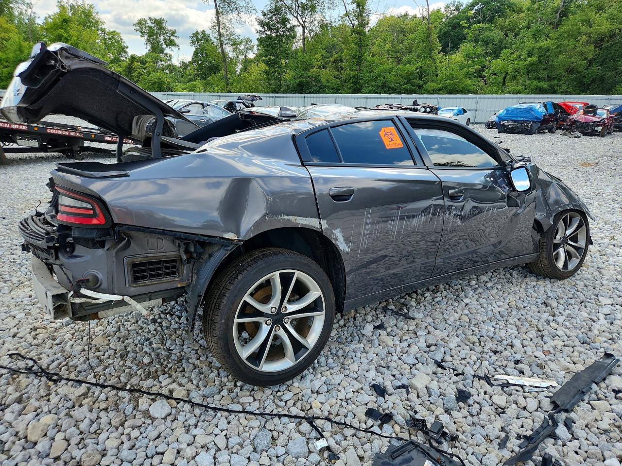 2015 Dodge Charger R/t Gray vin: 2C3CDXCT5FH874773