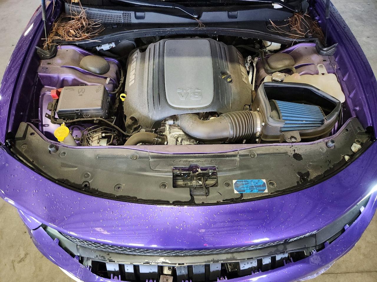 2023 Dodge Charger R/t Purple vin: 2C3CDXCT5PH639503