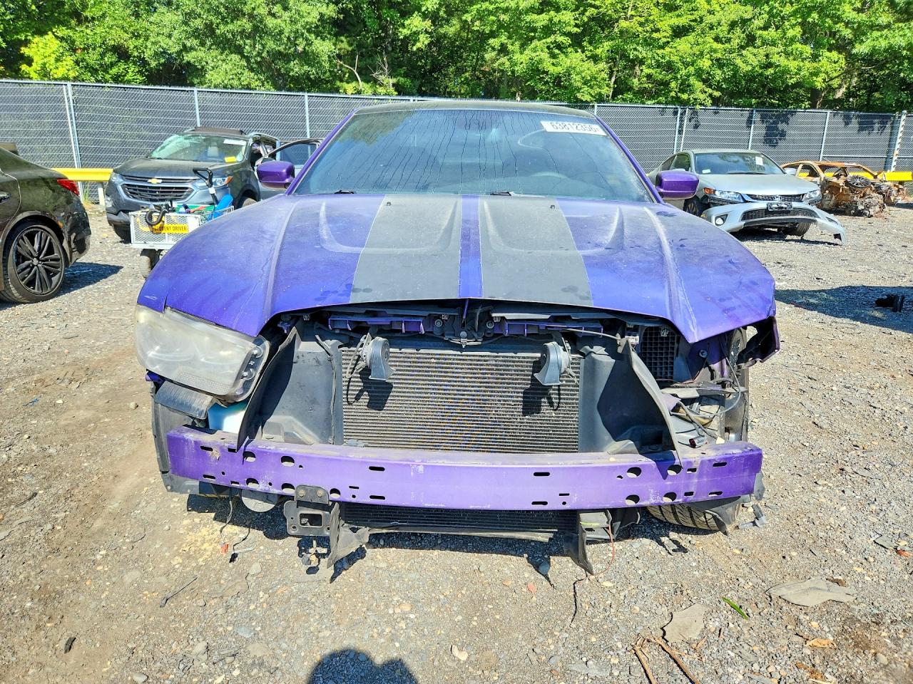 2014 Dodge Charger R/t Purple vin: 2C3CDXCT6EH159497