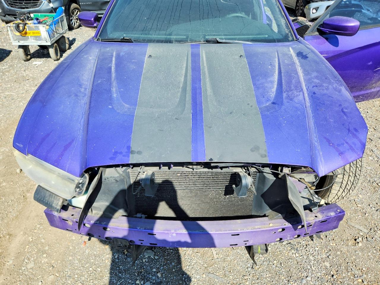 2014 Dodge Charger R/t Purple vin: 2C3CDXCT6EH159497