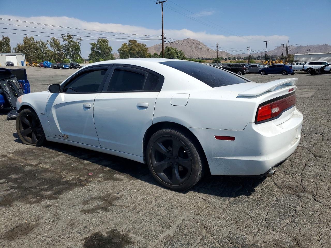 2014 Dodge Charger R/t Белый vin: 2C3CDXCT8EH353741