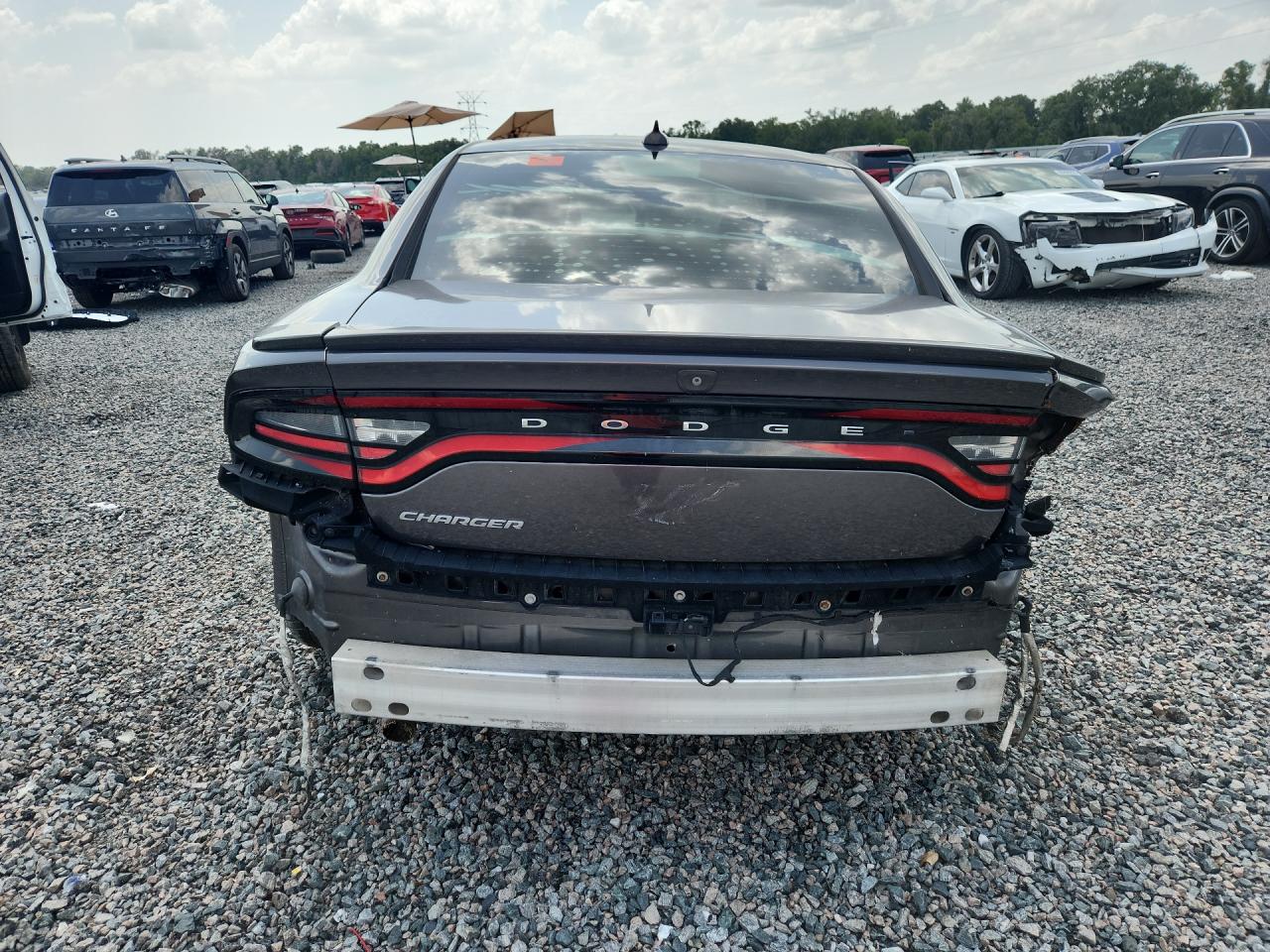 2015 Dodge Charger R/t Gray vin: 2C3CDXCT8FH772299