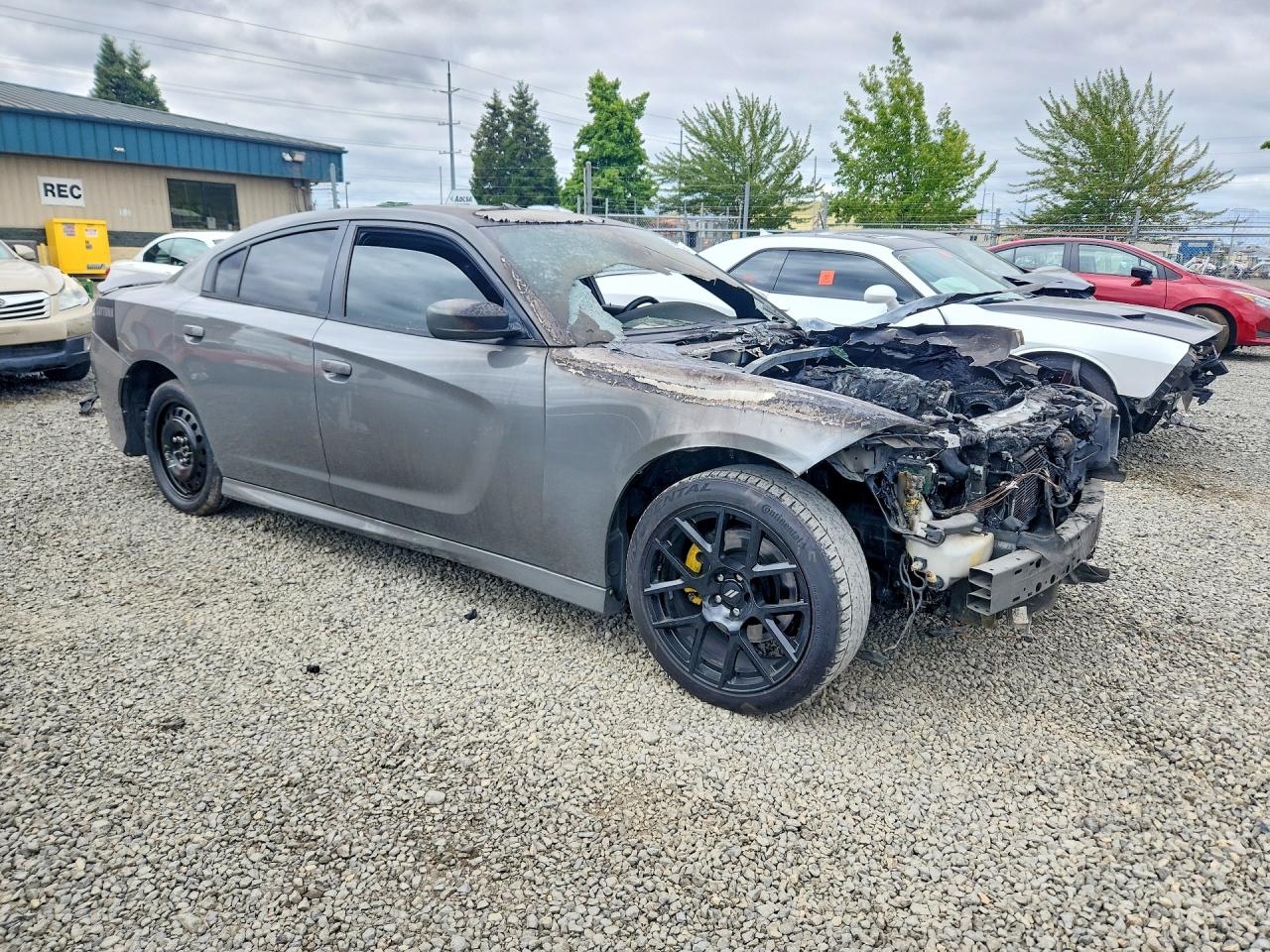 2017 Dodge Charger R/t Gray vin: 2C3CDXCTXHH520279