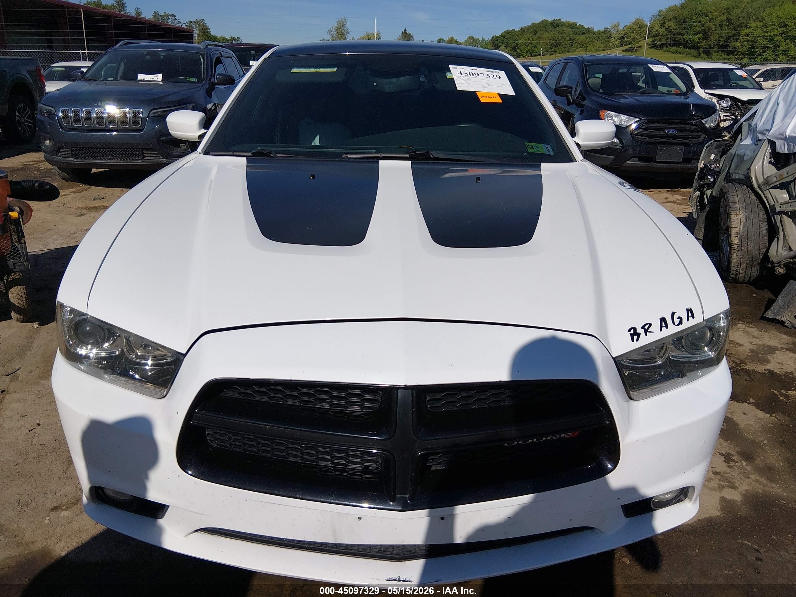 2014 Dodge Charger R/t White vin: 2C3CDXDT7EH371811