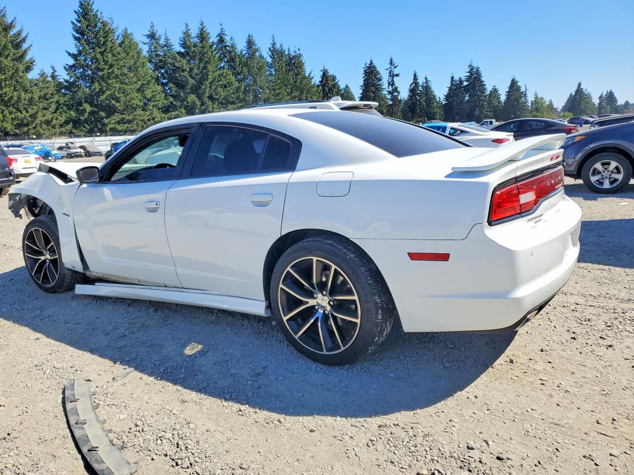 2014 Dodge Charger R/t White vin: 2C3CDXDT8EH364771