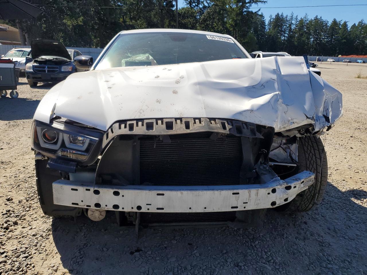 2014 Dodge Charger R/t White vin: 2C3CDXDT8EH364771
