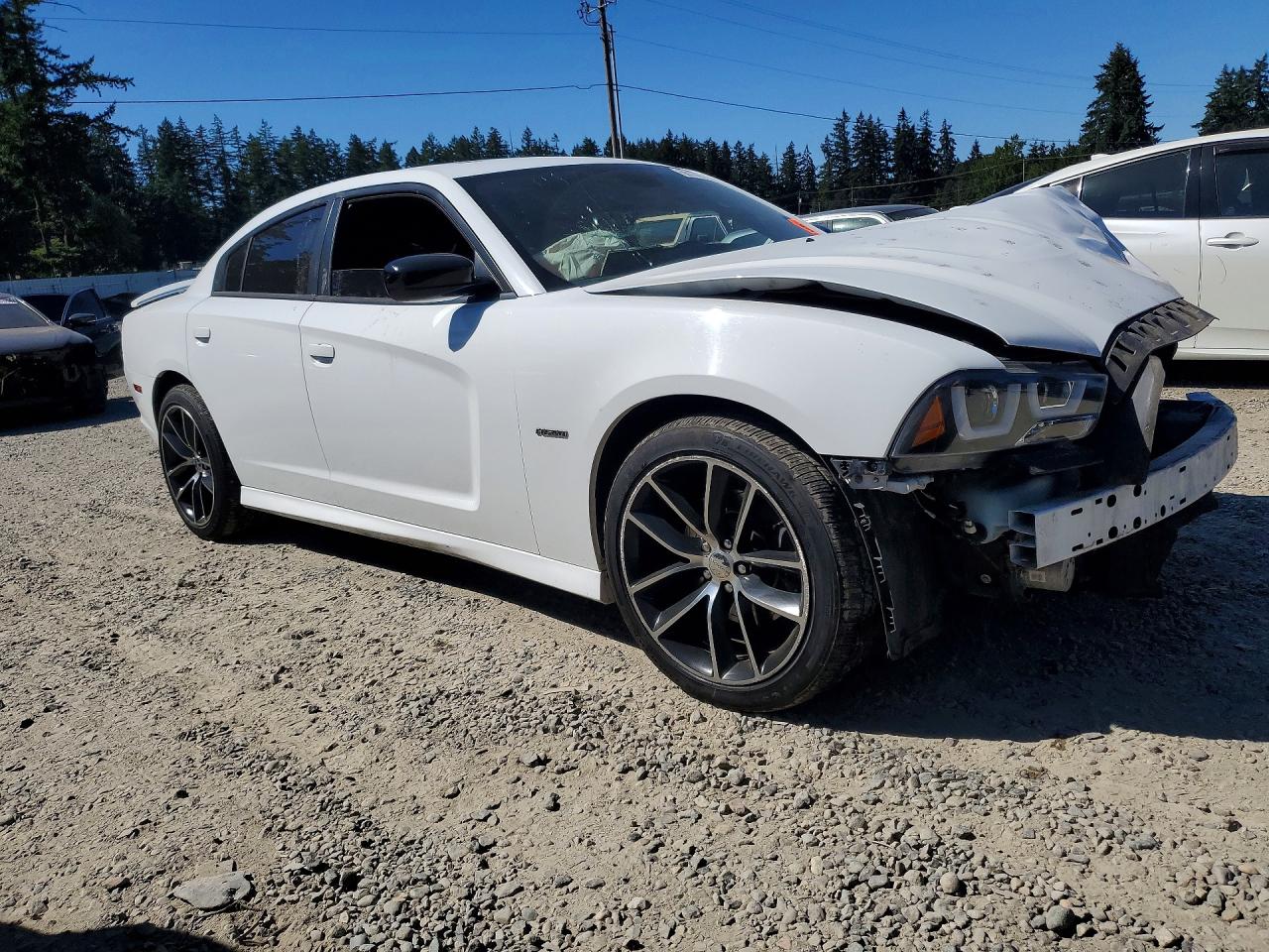 2014 Dodge Charger R/t White vin: 2C3CDXDT8EH364771