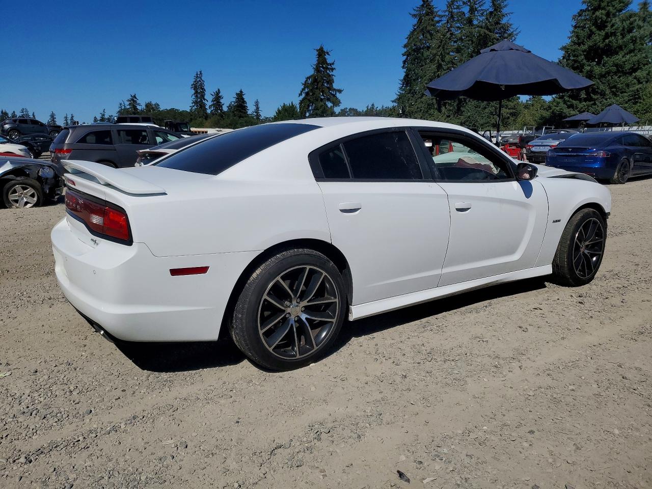 2014 Dodge Charger R/t White vin: 2C3CDXDT8EH364771