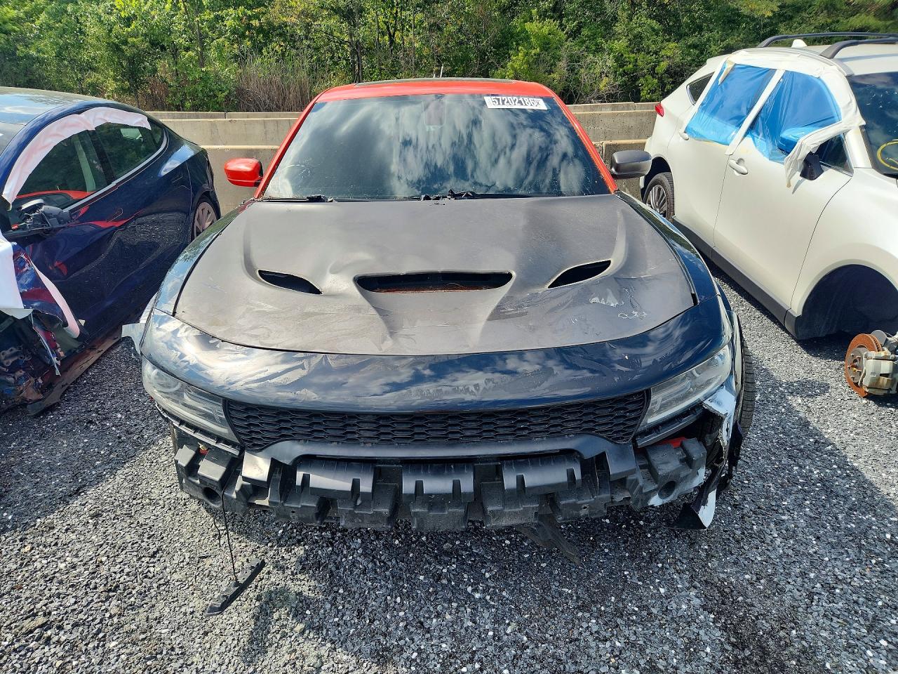 2019 Dodge Charger Scat Pack Оранжевый vin: 2C3CDXGJ4KH558994