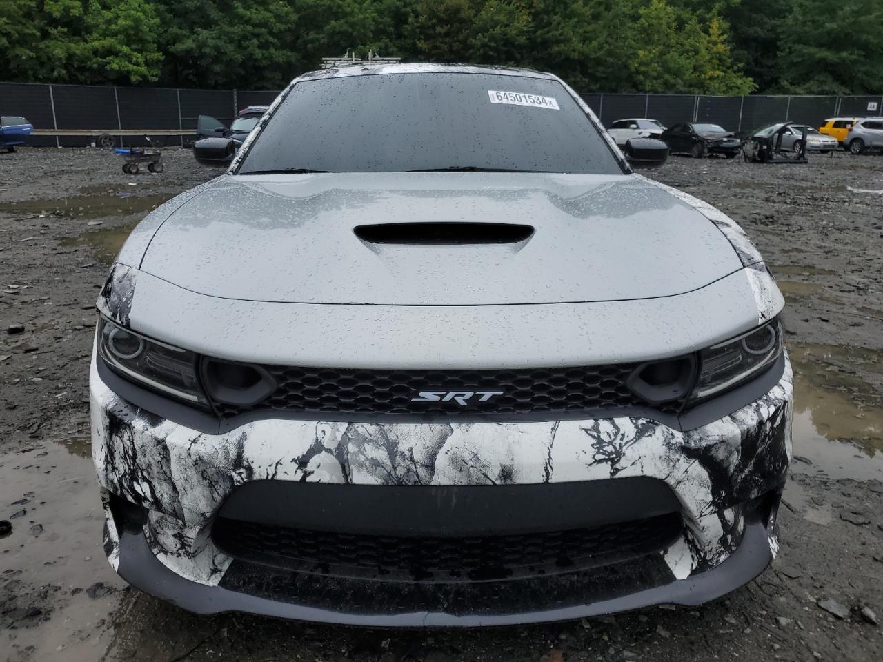 2019 Dodge Charger Scat Pack Серый vin: 2C3CDXGJ7KH613065