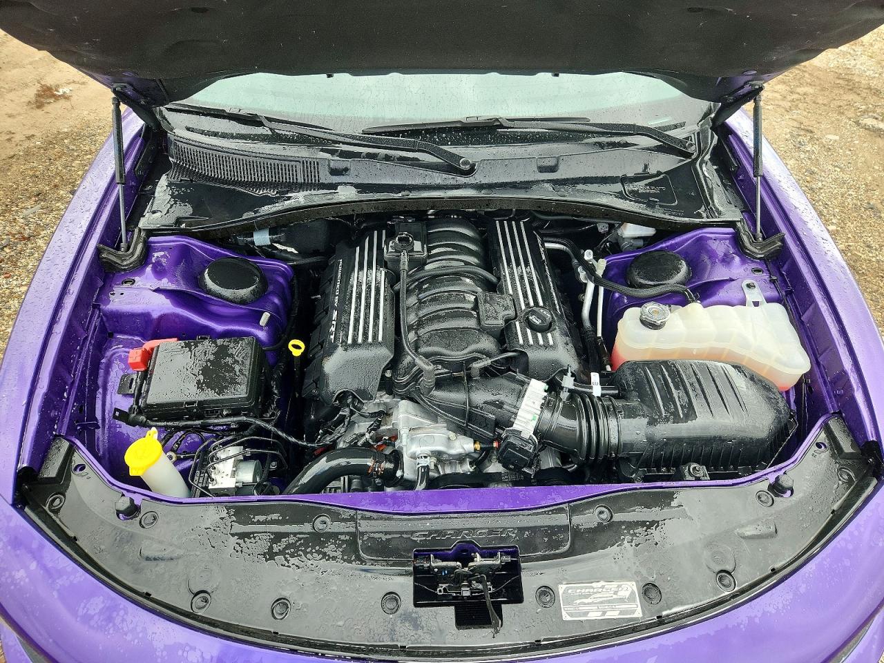 2023 Dodge Charger Scat Pack Purple vin: 2C3CDXGJ8PH690101