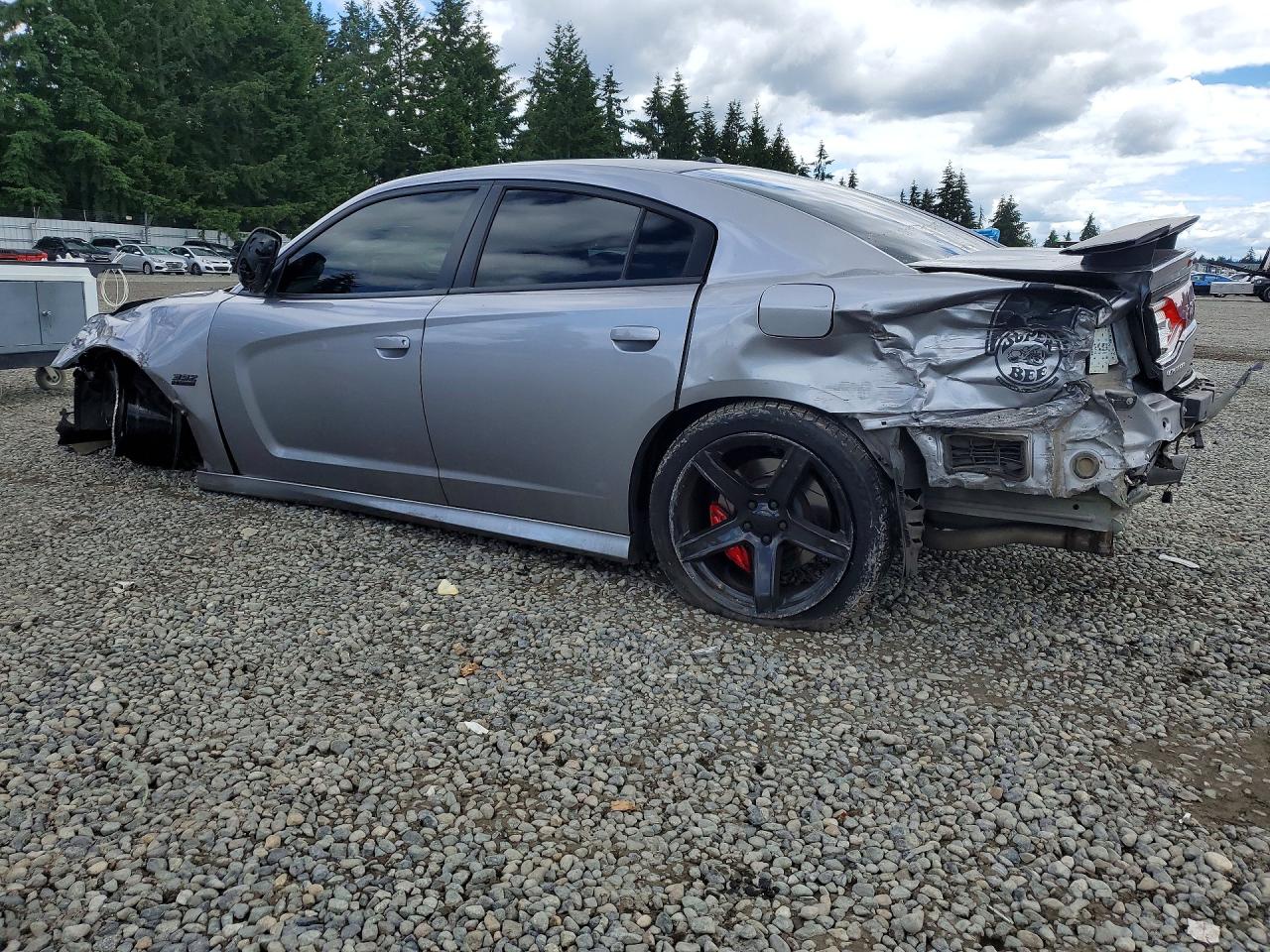 2014 Dodge Charger Super Bee Silver vin: 2C3CDXGJXEH312584