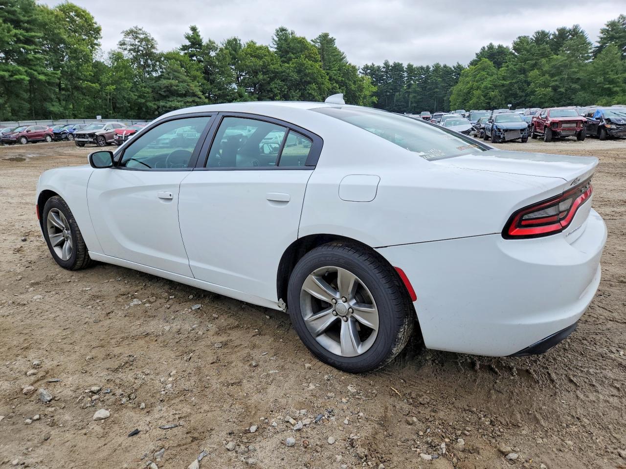 2015 Dodge Charger Sxt White vin: 2C3CDXHG1FH840079