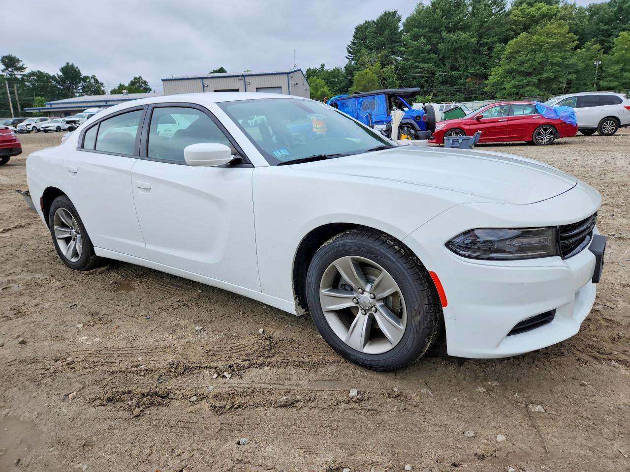 2015 Dodge Charger Sxt White vin: 2C3CDXHG1FH840079