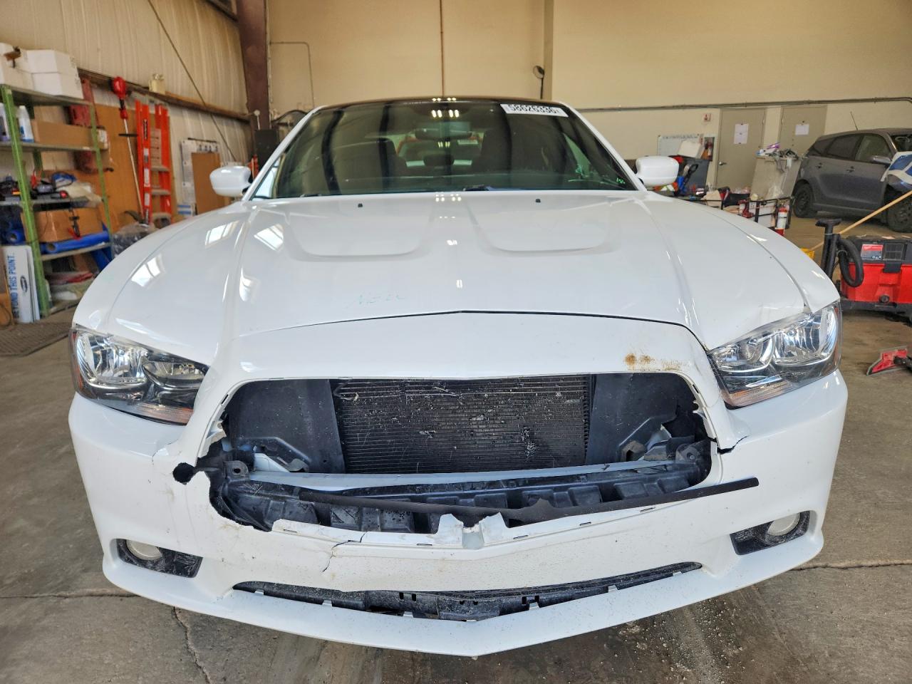 2014 Dodge Charger Sxt Белый vin: 2C3CDXJG4EH183688