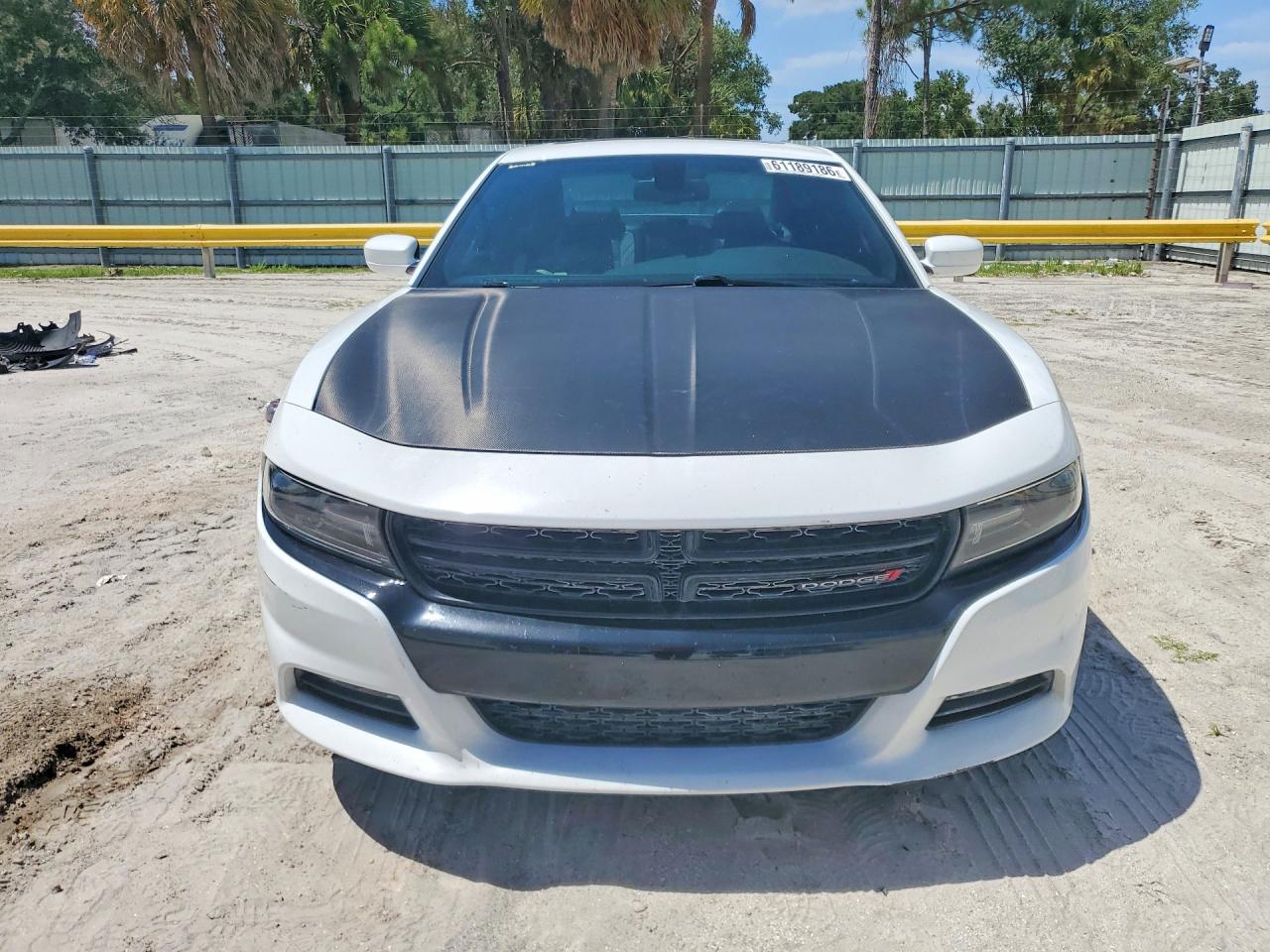 2015 Dodge Charger Sxt Белый vin: 2C3CDXJG8FH746095