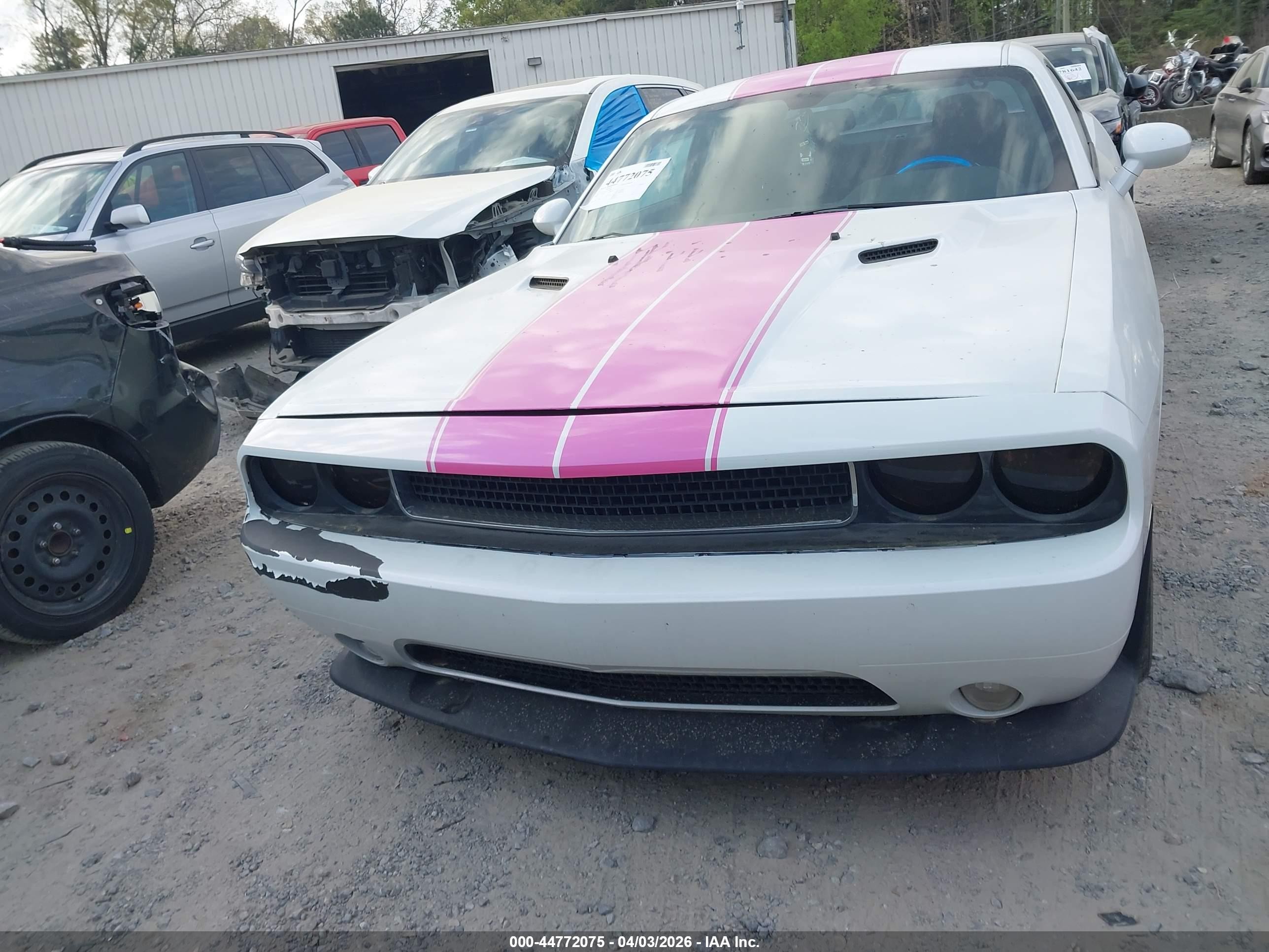 2012 Dodge Challenger Sxt Белый vin: 2C3CDYAG7CH292486