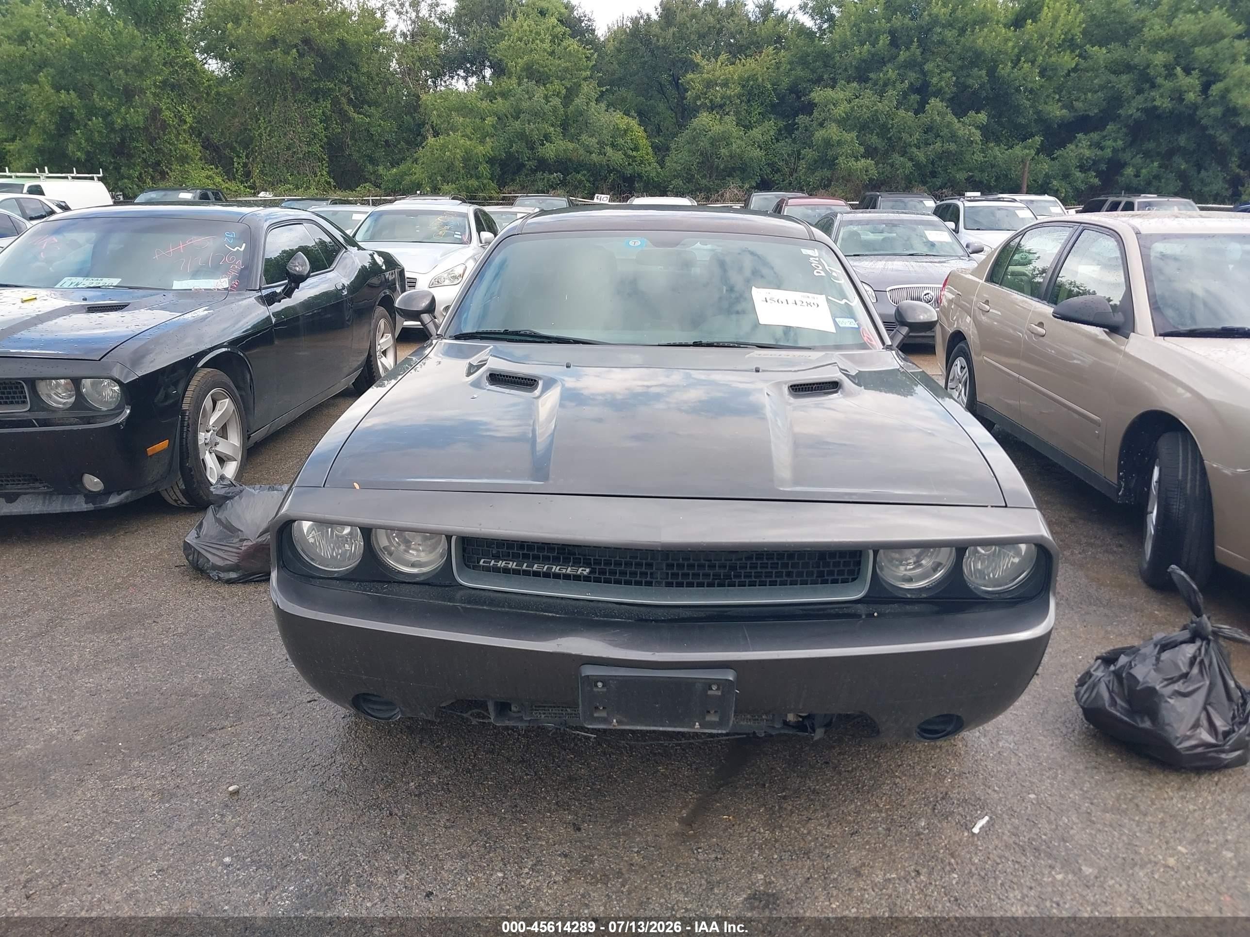 2013 Dodge Challenger Sxt Gray vin: 2C3CDYAGXDH679597