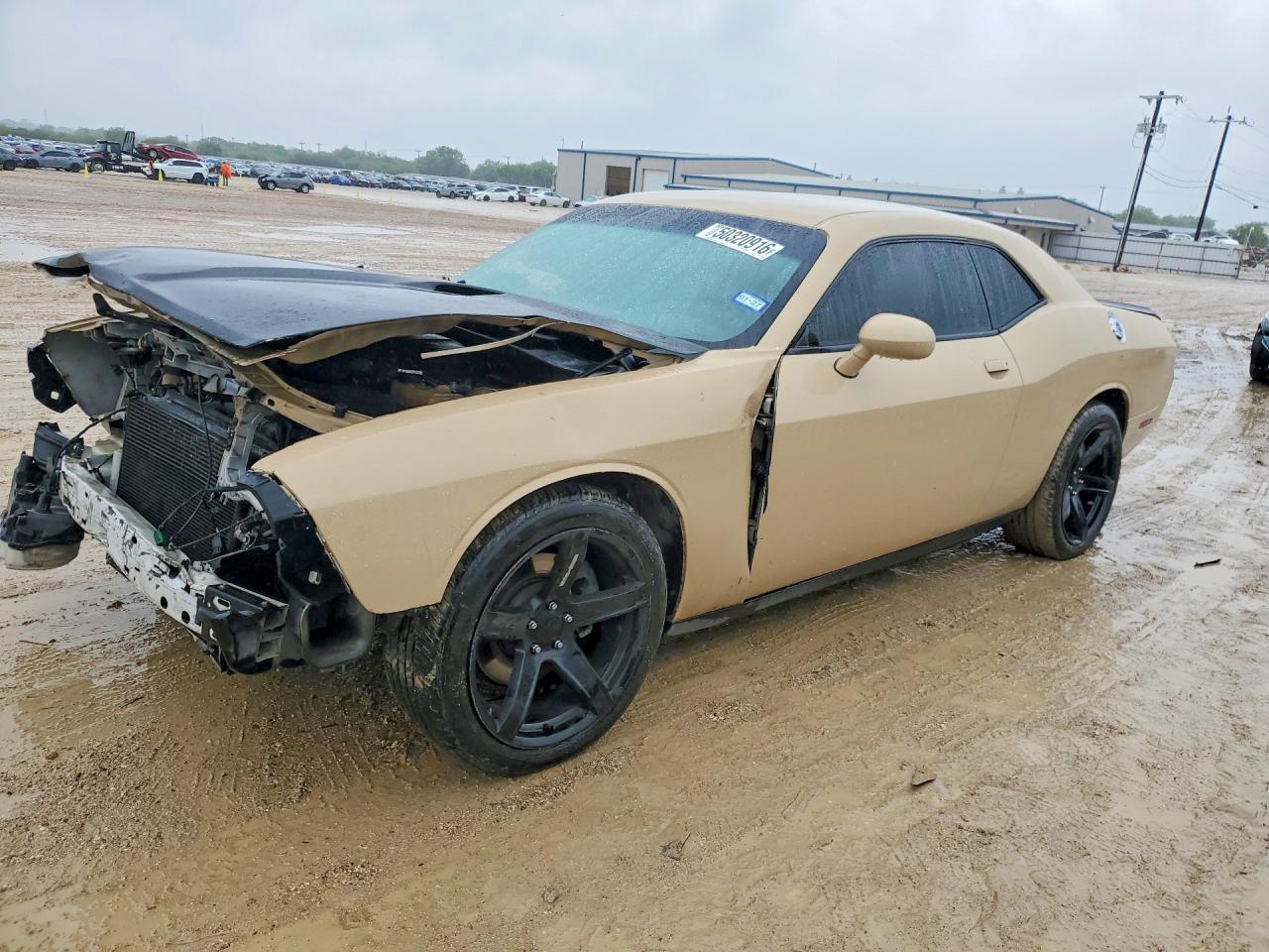 2014 Dodge Challenger Sxt Желто-коричневый vin: 2C3CDYAGXEH298964