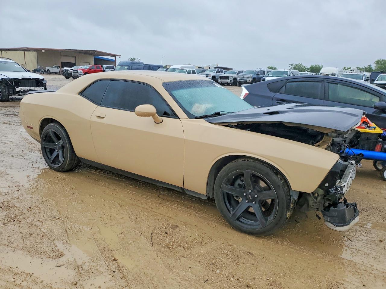 2014 Dodge Challenger Sxt Желто-коричневый vin: 2C3CDYAGXEH298964