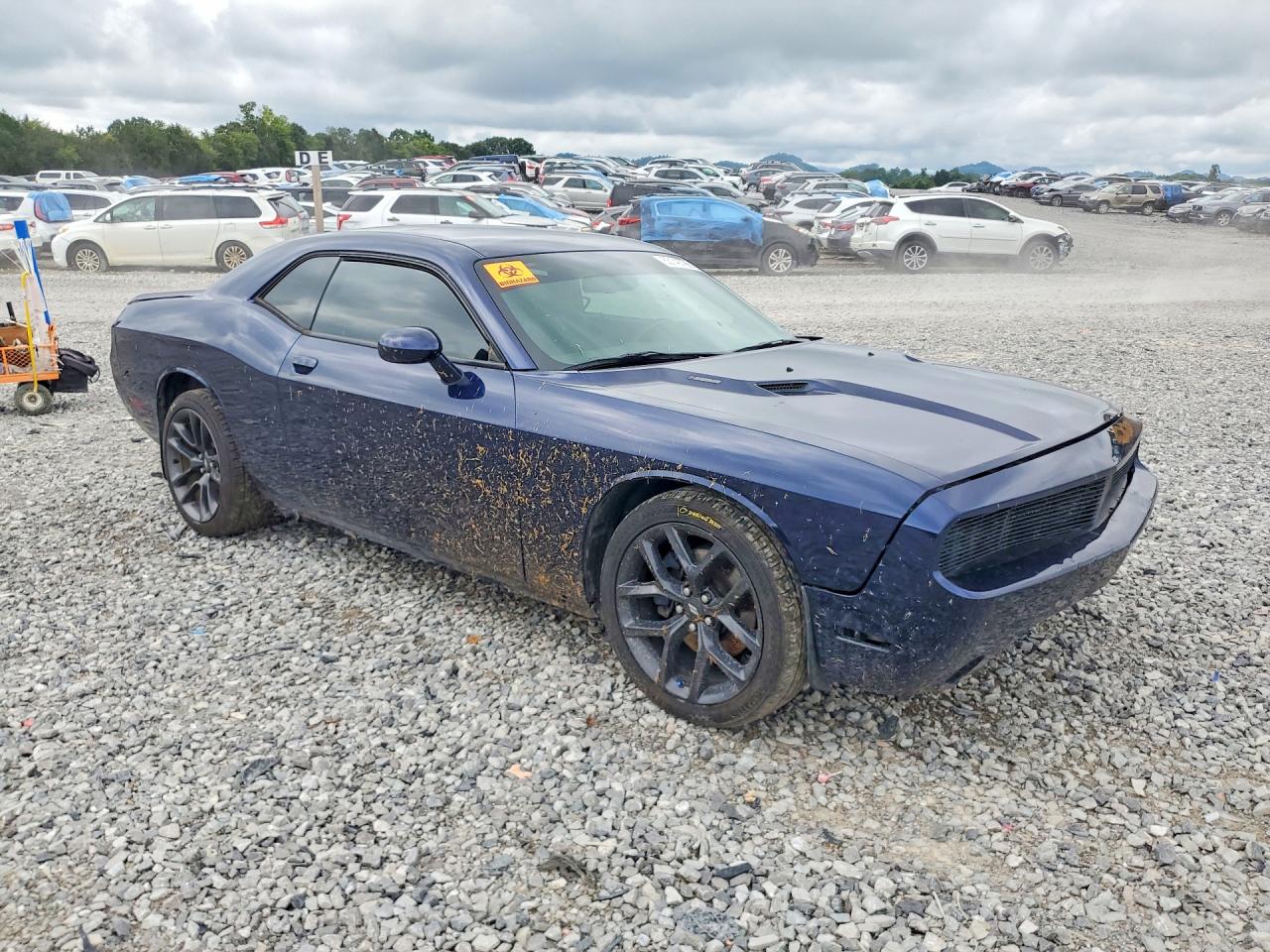 2013 Dodge Challenger R/t Blue vin: 2C3CDYBT4DH565185