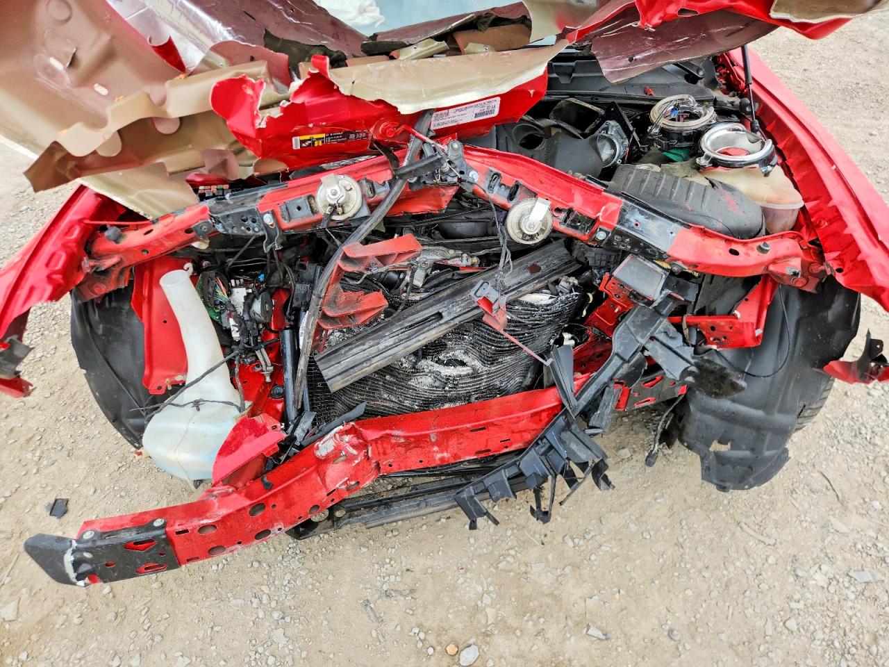 2019 Dodge Challenger R Red vin: 2C3CDZBT3KH573703