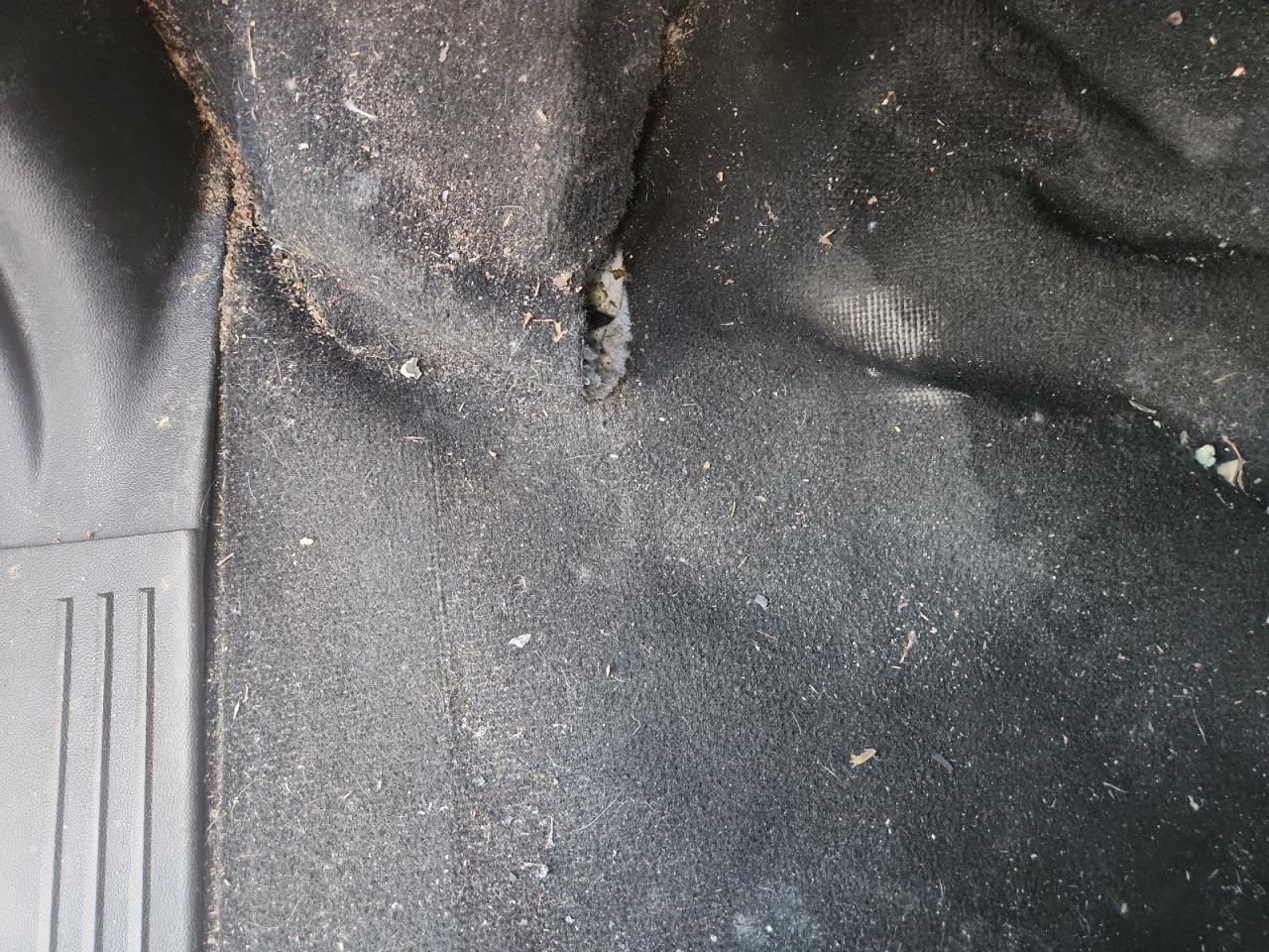 2019 Dodge Grand Caravan Sxt Белый vin: 2C4RDGCG6KR783881 Damage: Left Front Carpet, Torn, > 12 Inches